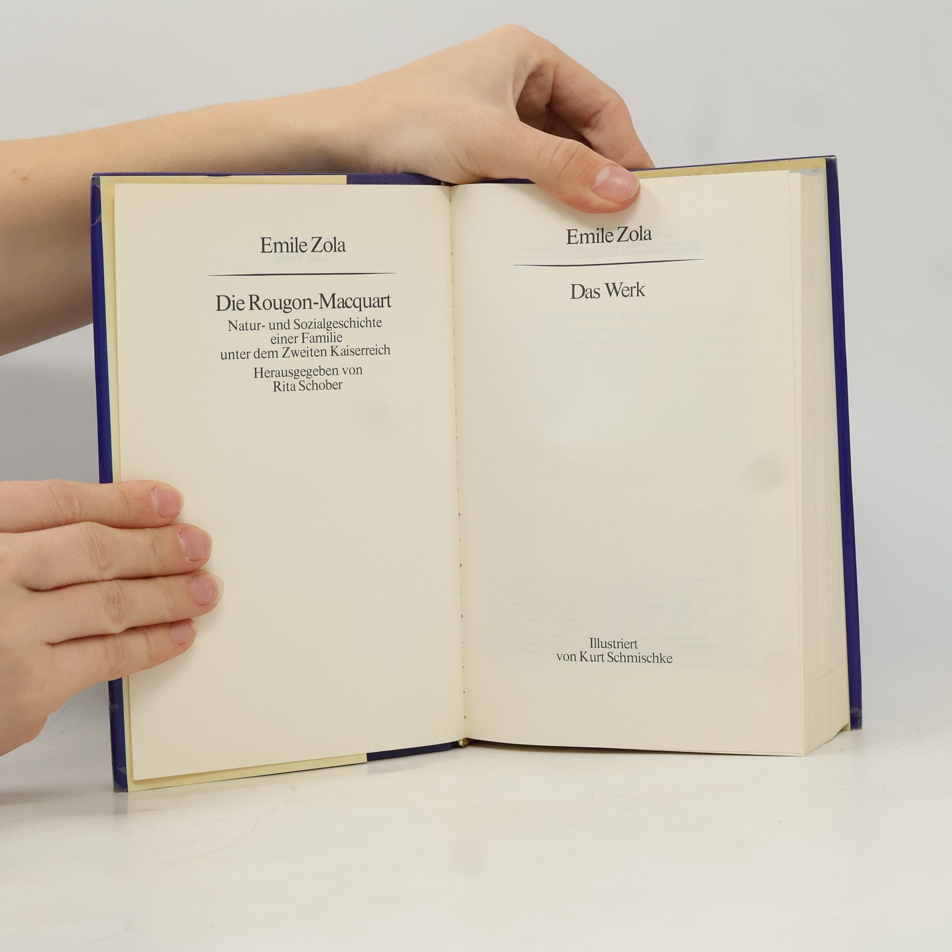 Émile Zola Das Werk