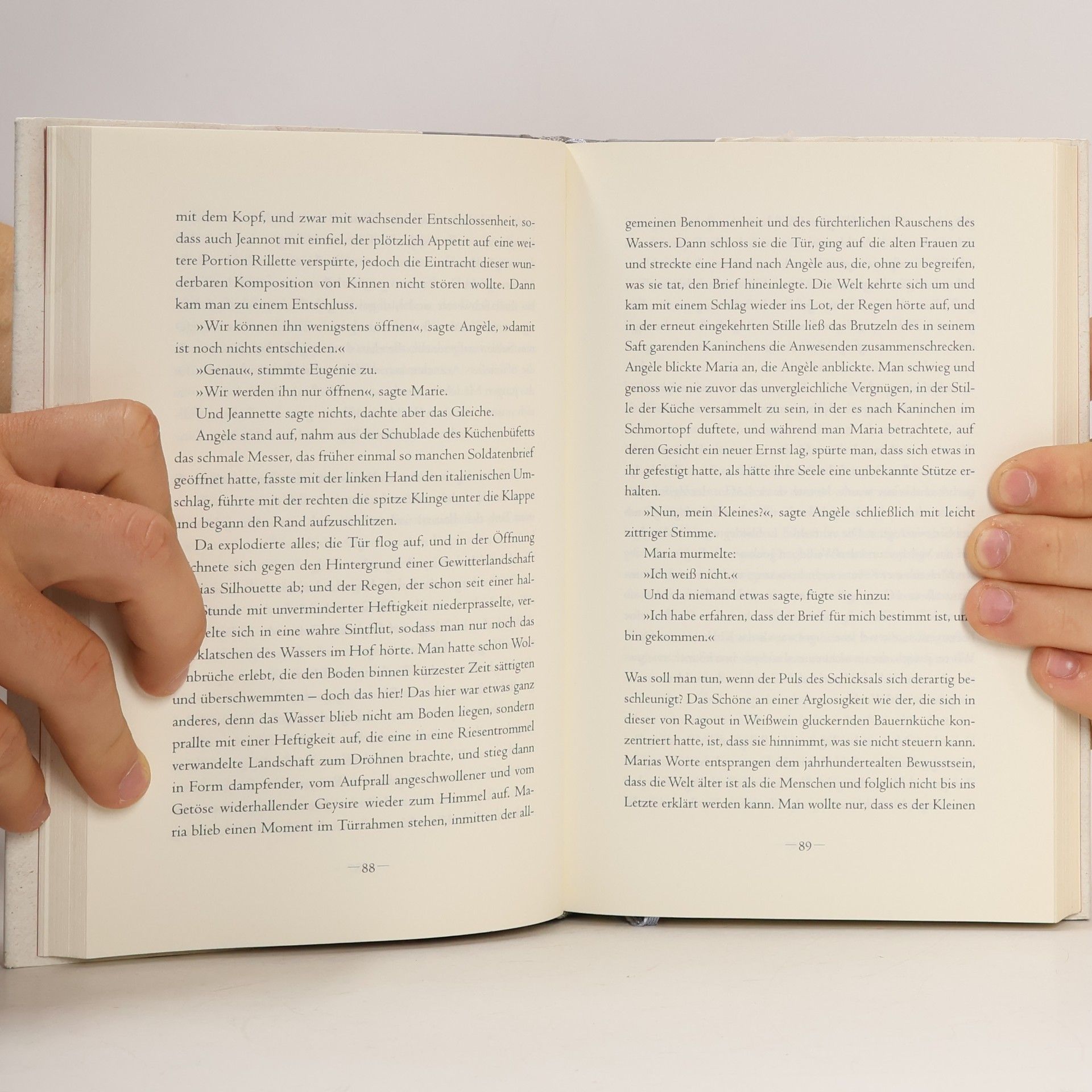 Muriel Barbery Das Leben der Elfen