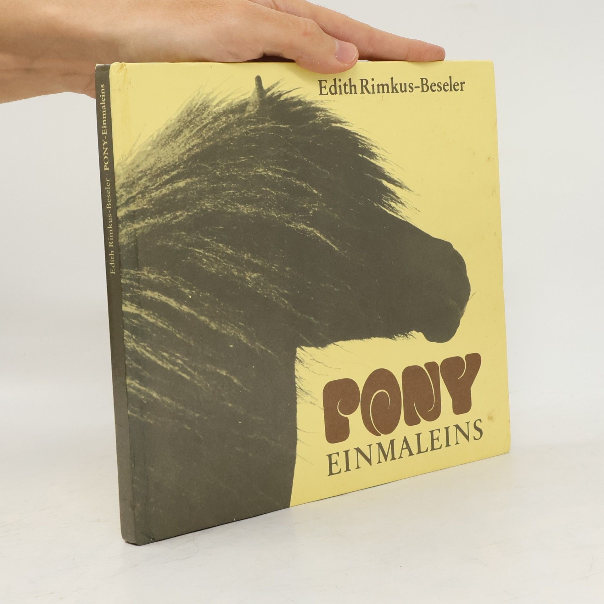 Edith Rimkus-Beseler Pony-Einmaleins