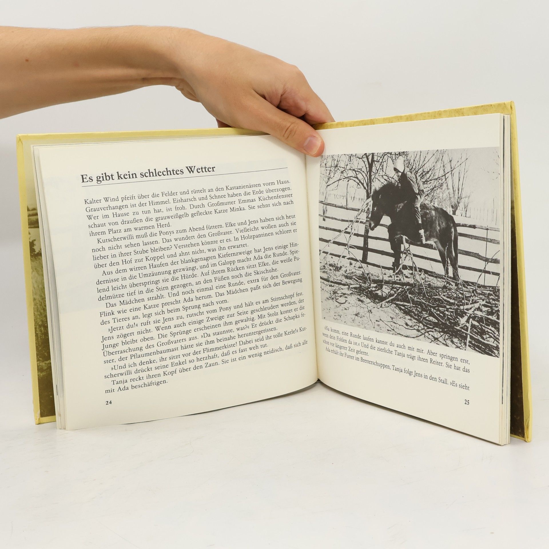 Edith Rimkus-Beseler Pony-Einmaleins
