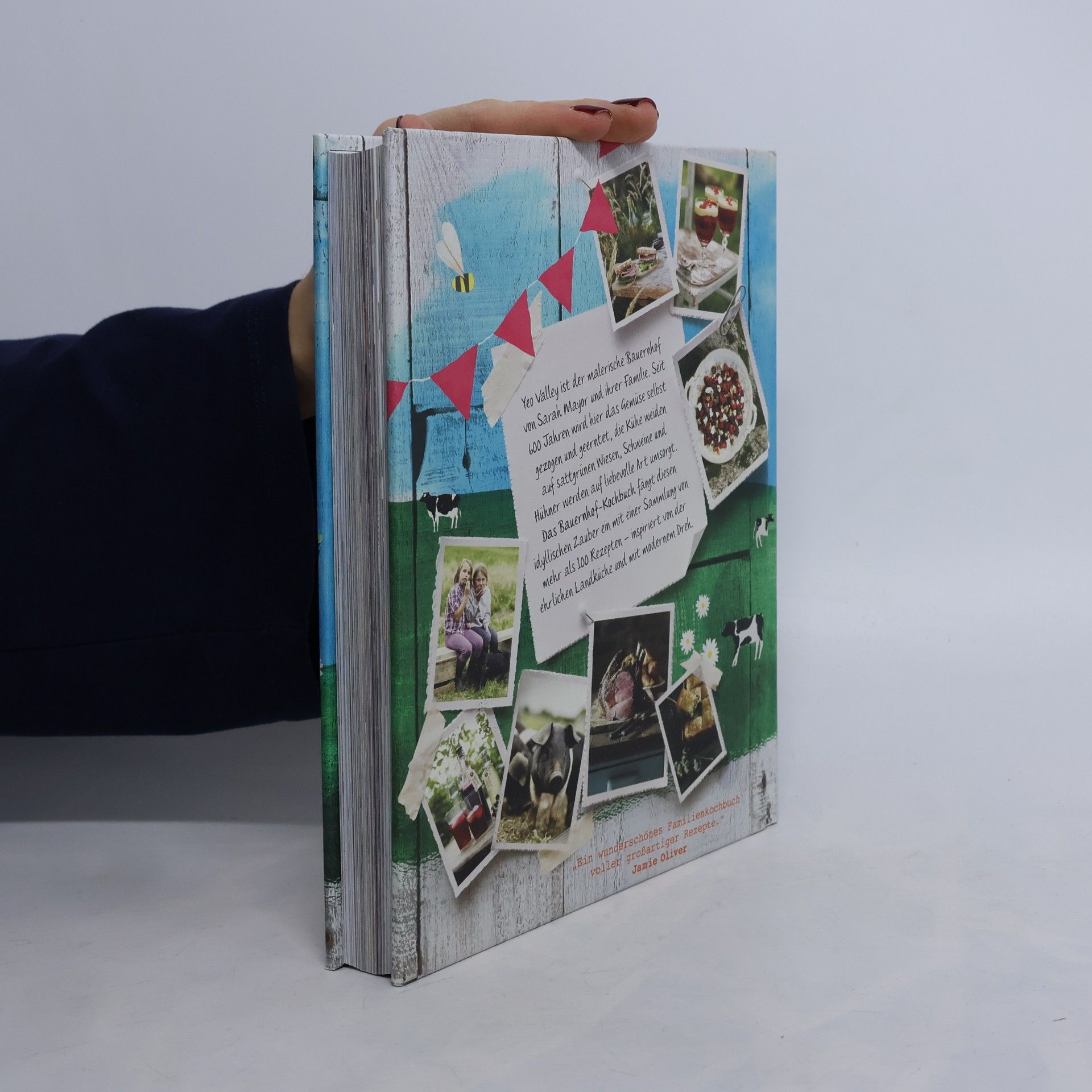 Sarah Mayor Das große Bauernhof-Kochbuch