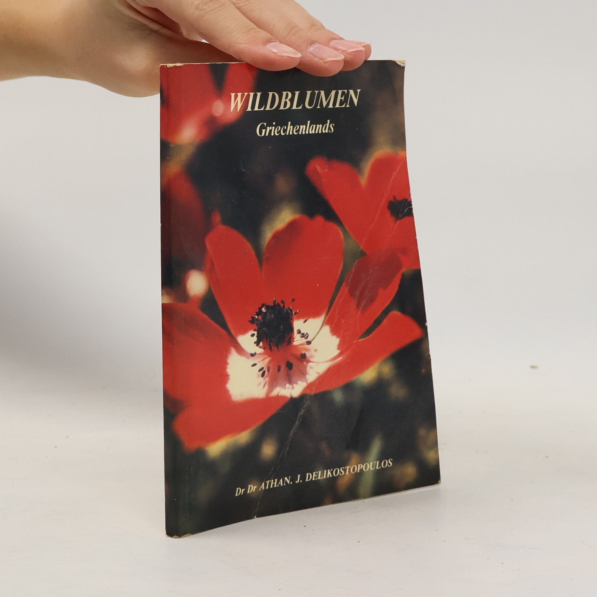 Wildblumen