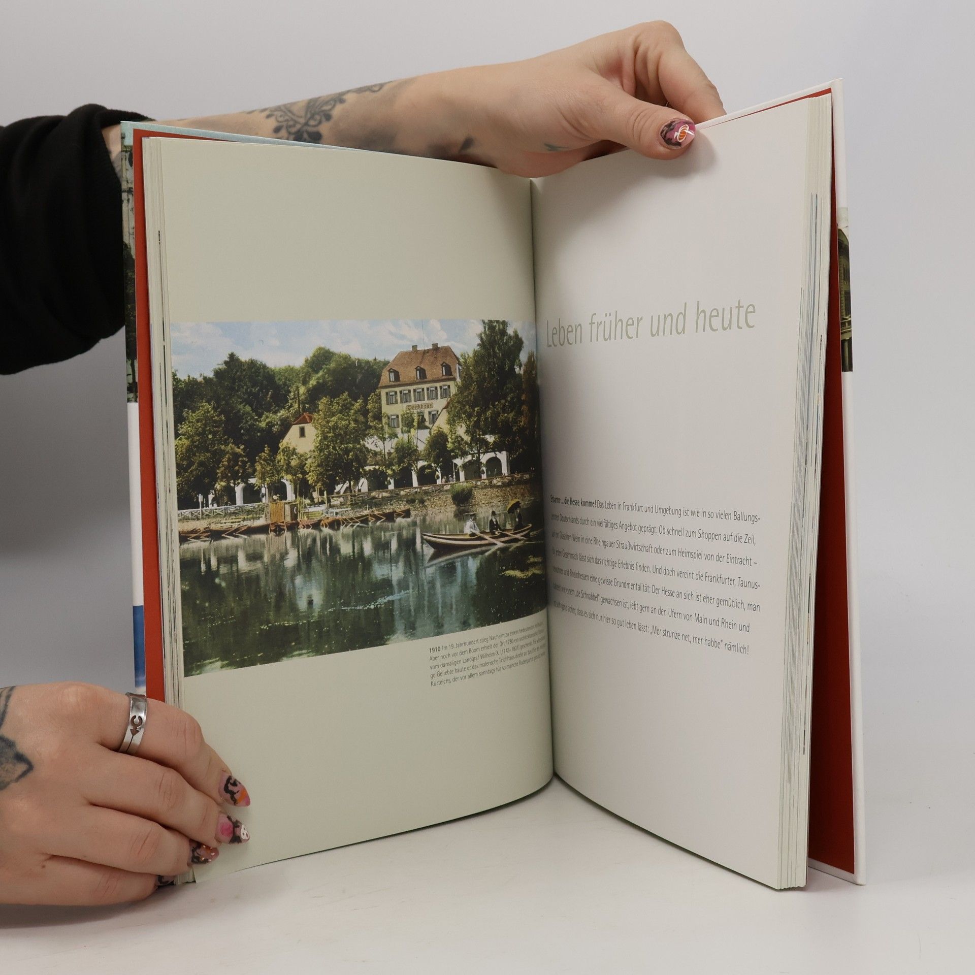 Marcus Meyer Frankfurt und das Rhein-Main-Gebiet