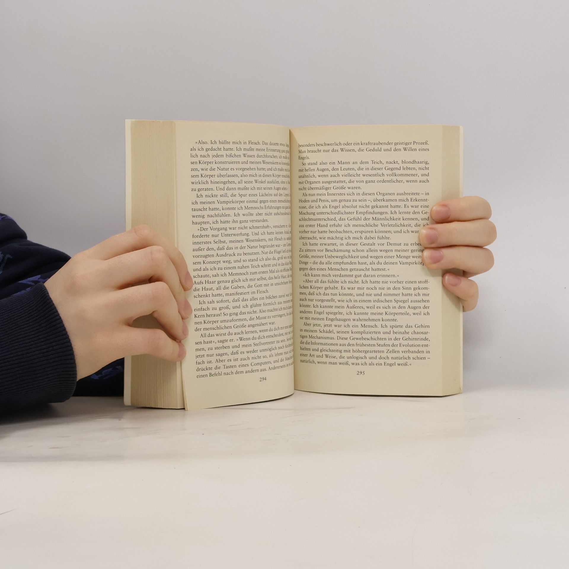 Anne Rice Memnoch der Teufel