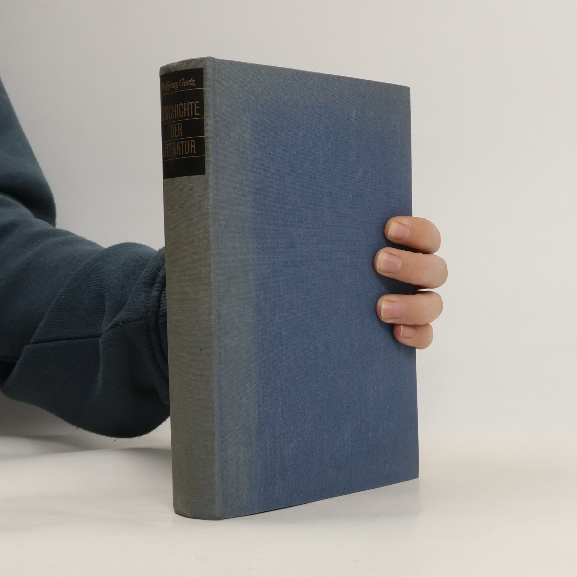 Wolfgang Goetz Geschichte der Literatur