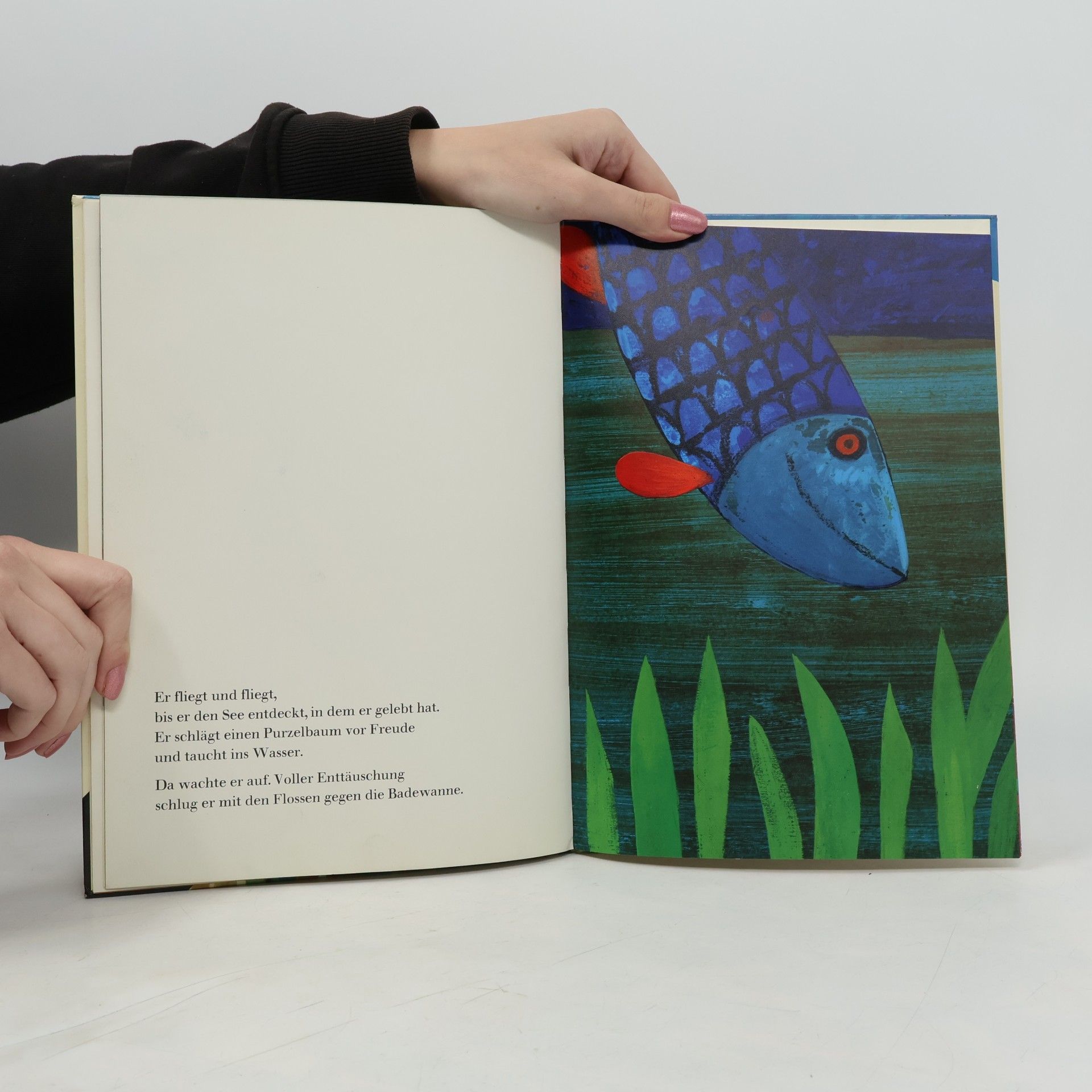 Max Velthuijs Der Junge und der Fisch