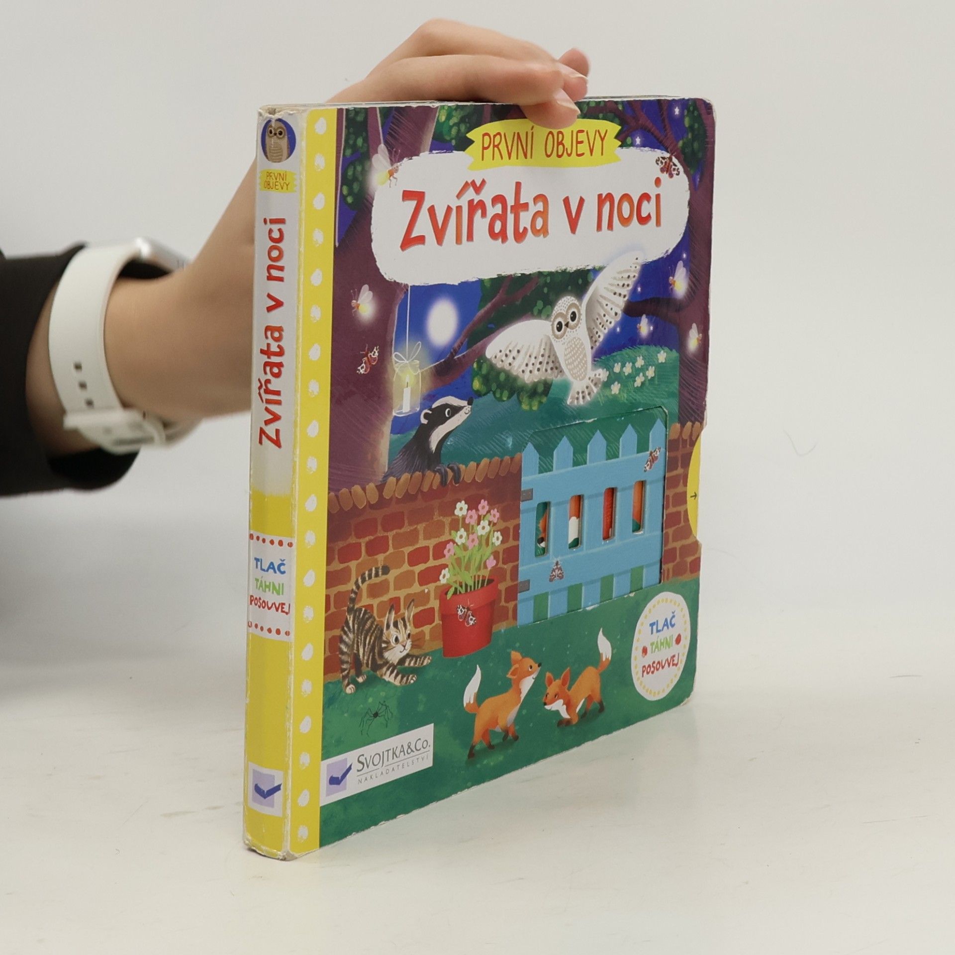 První objevy: Zvířata v noci