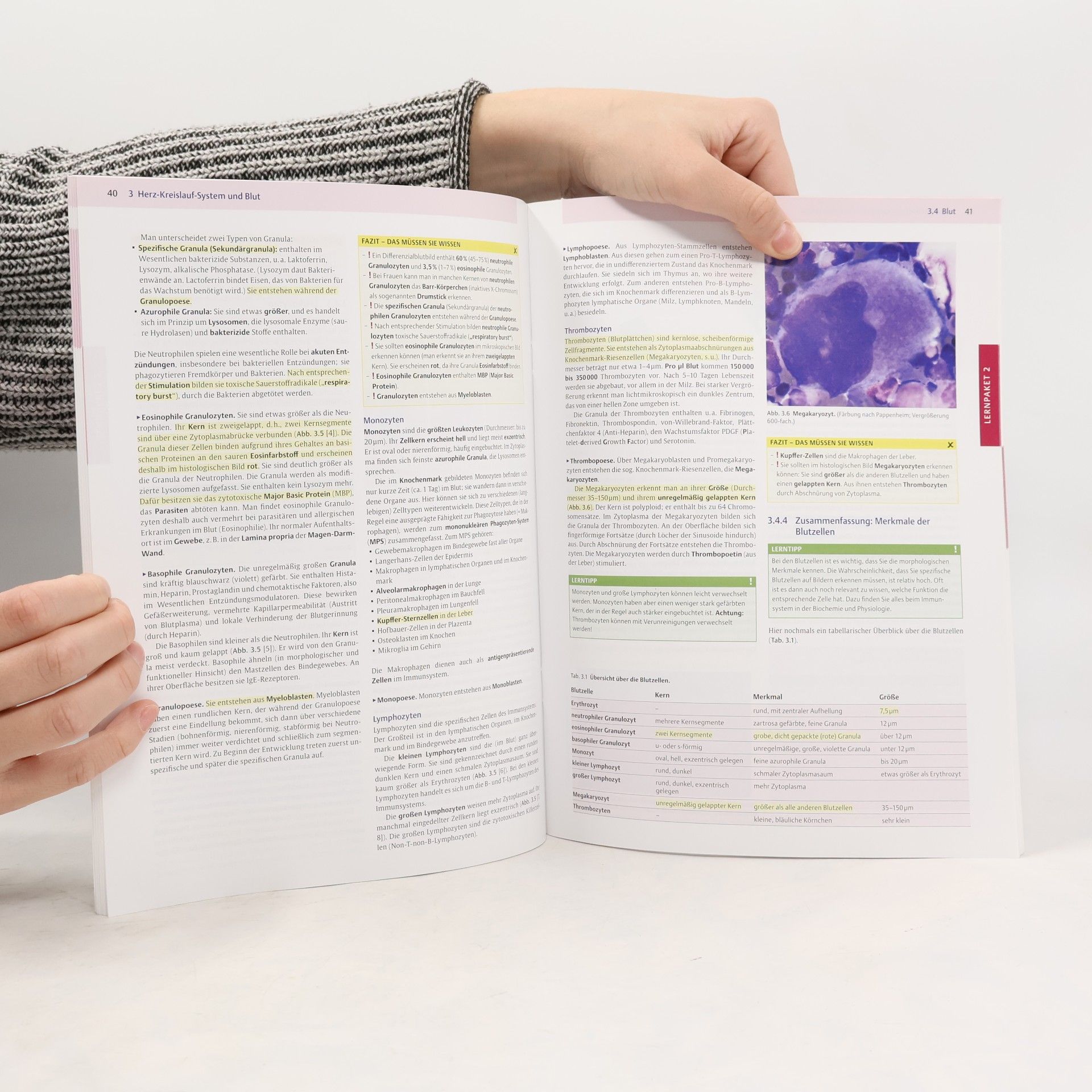 Endspurt Vorklinik Histologie