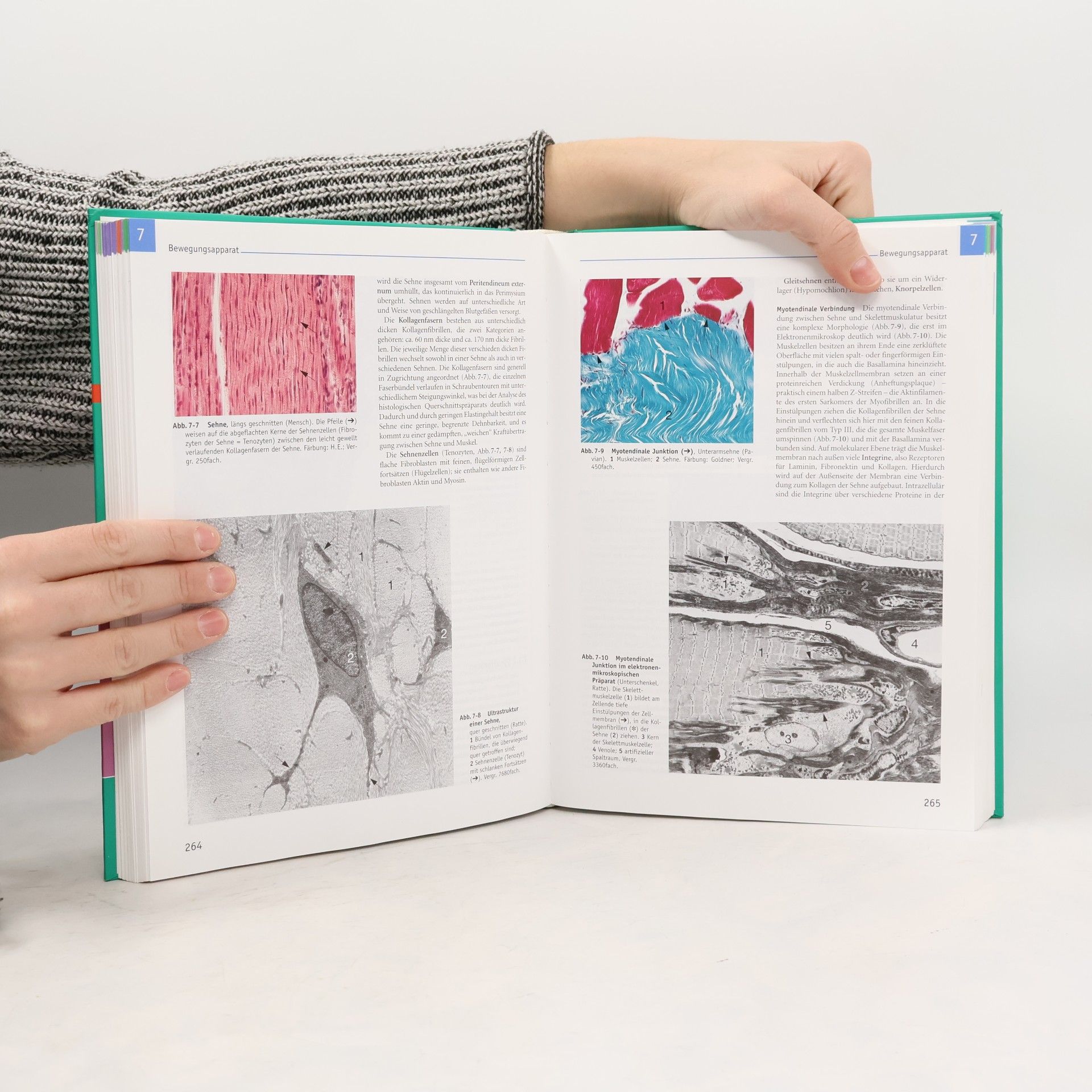 Ulrich Welsch Lehrbuch Histologie