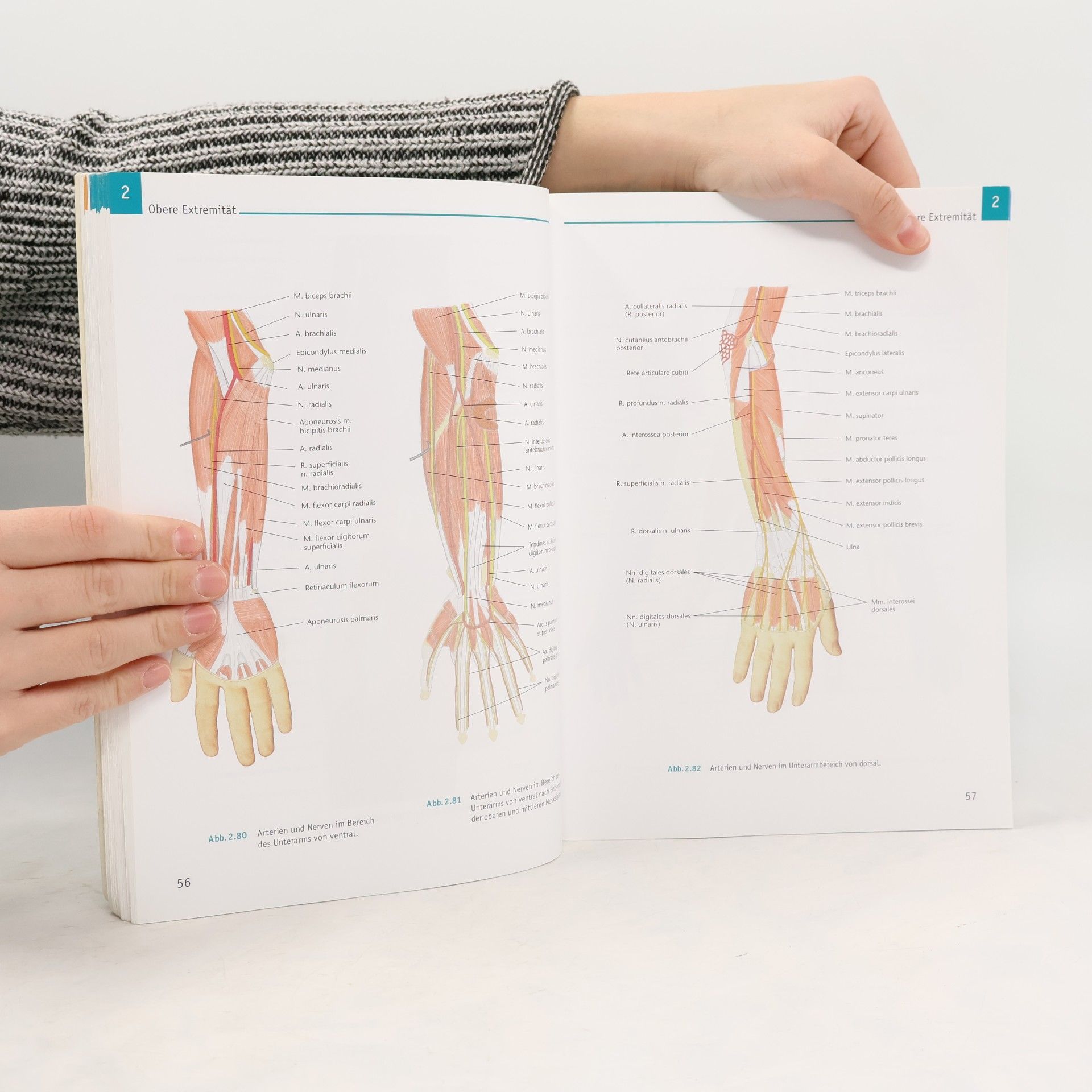 Karl-Josef Ulmen Atlas Anatomie
