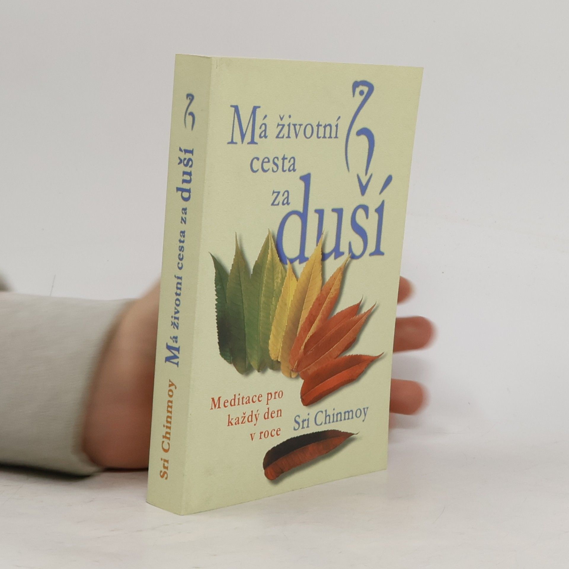 Chinmoy Má životní cesta za duší (komplet box, 4 svazky)