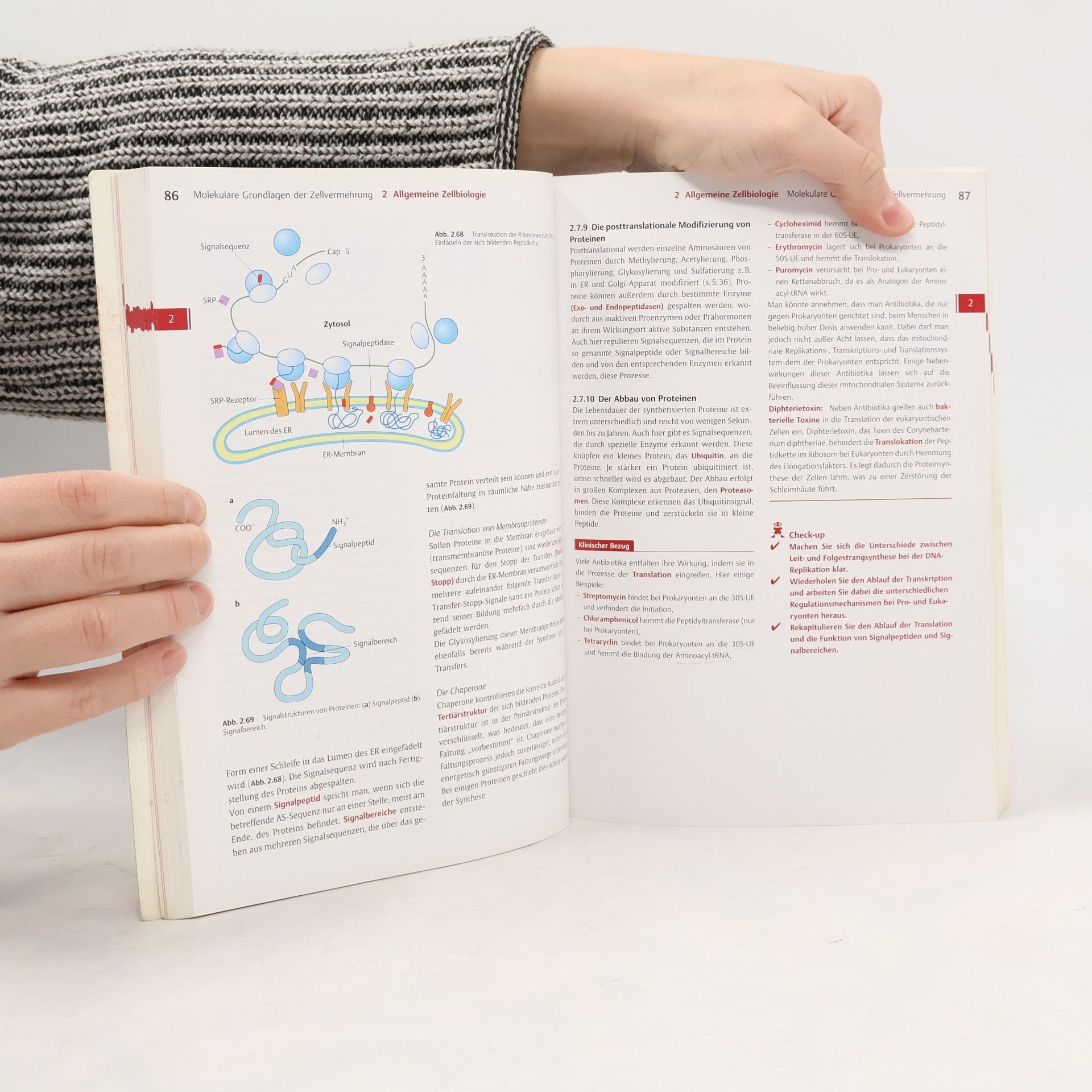 Gerd Poeggel Kurzlehrbuch Biologie