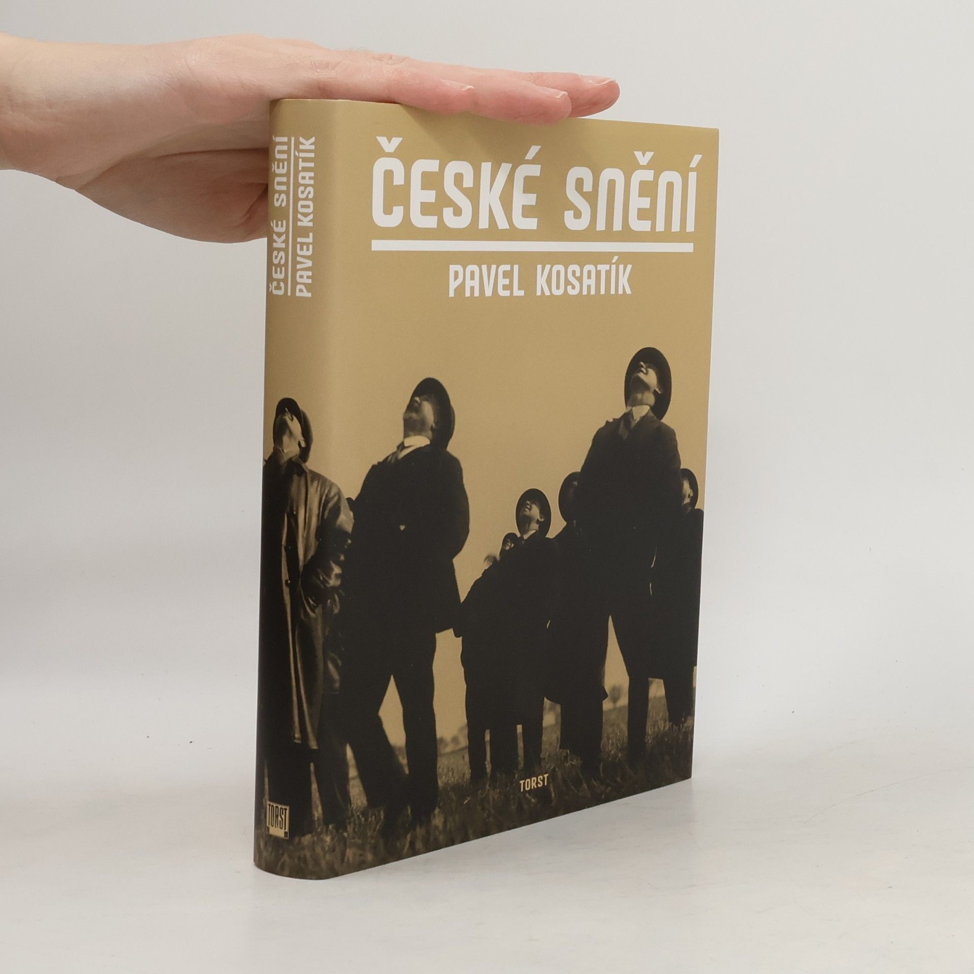Pavel Kosatík České snění