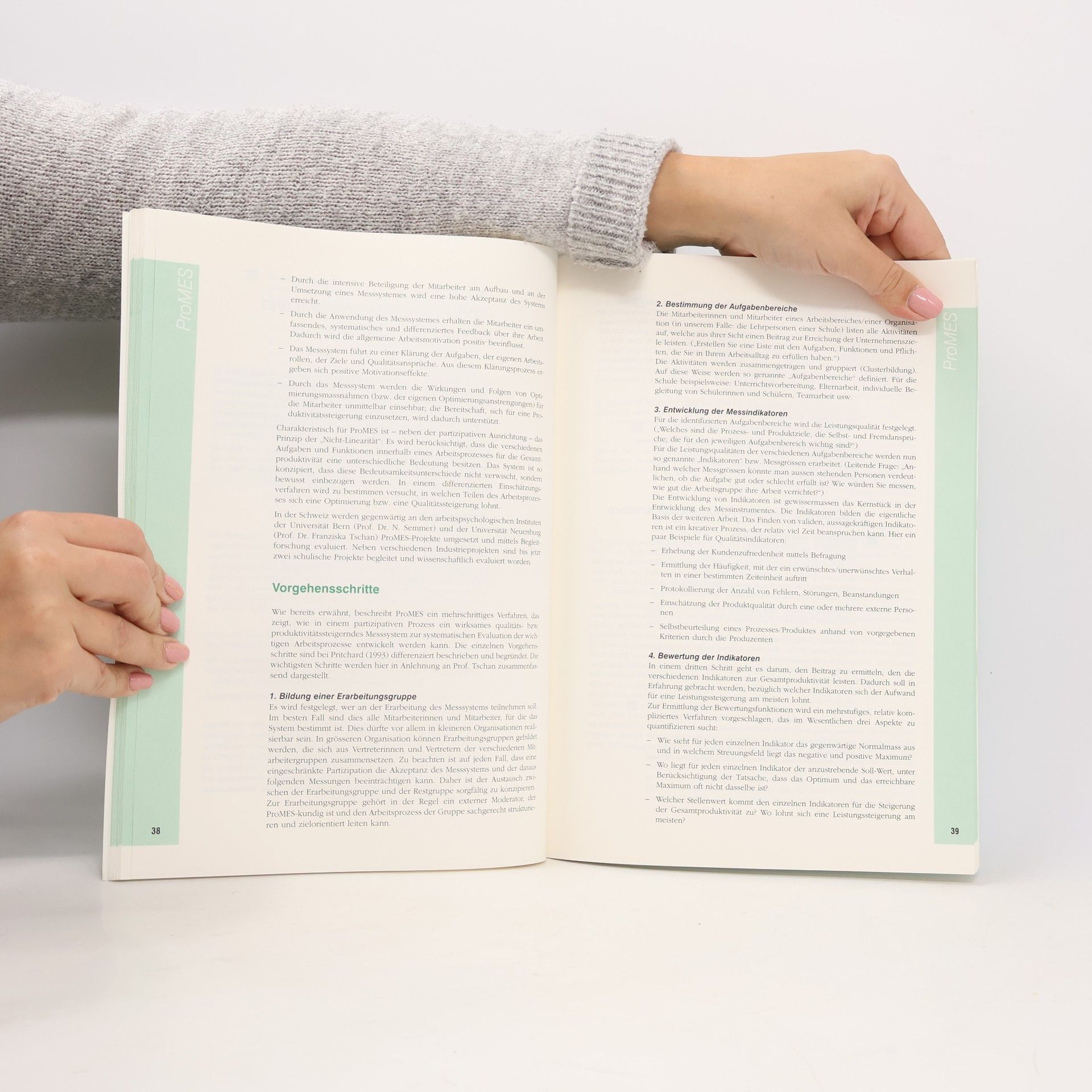Philipp Gonon Qualitätssysteme auf dem Prüfstand