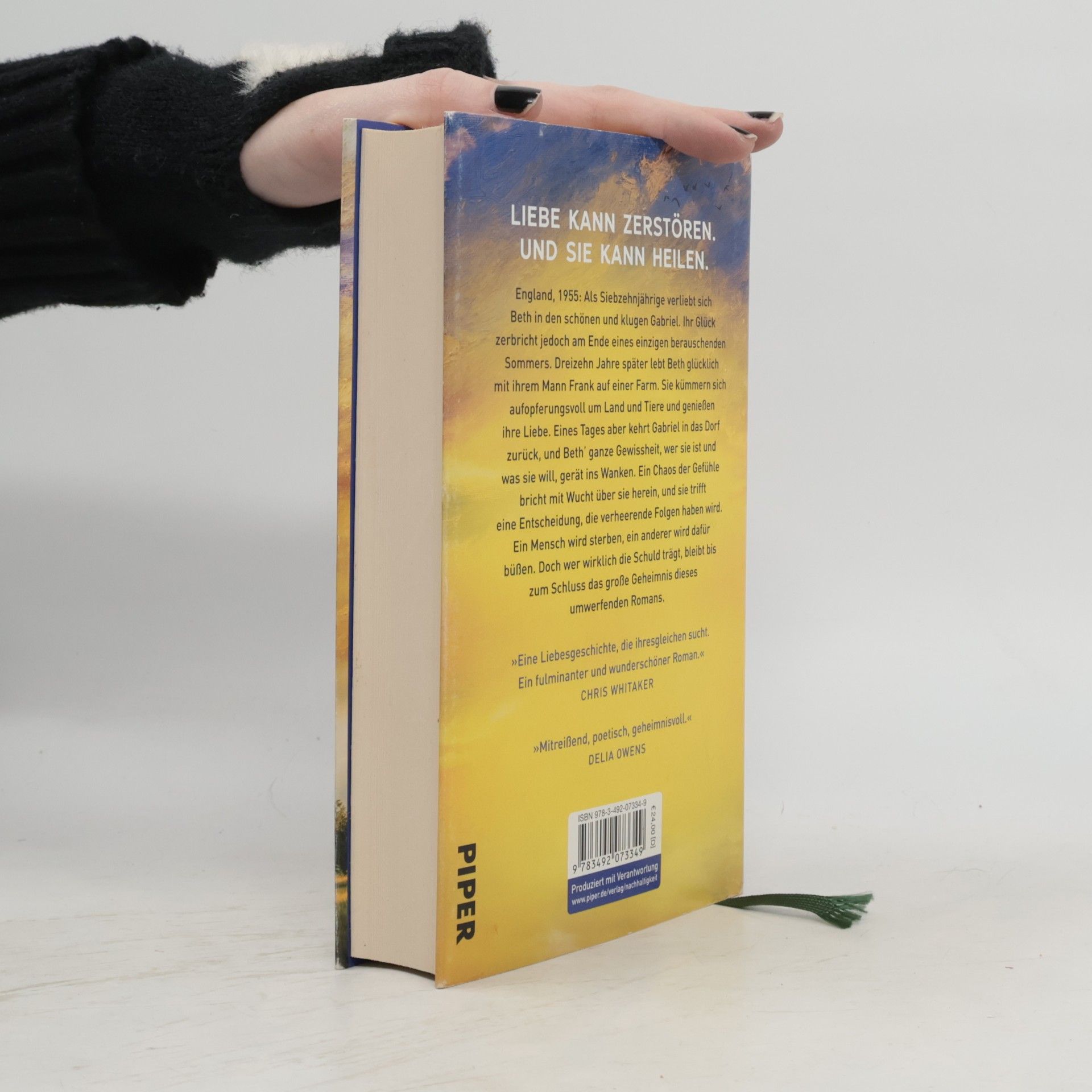 Clare Leslie Hall Wie Risse in der Erde