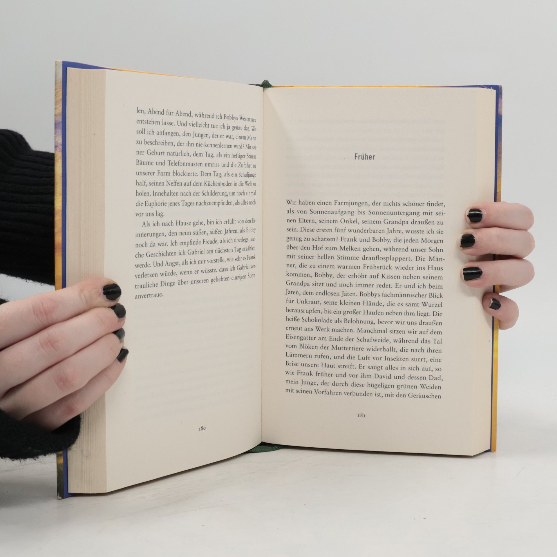 Clare Leslie Hall Wie Risse in der Erde