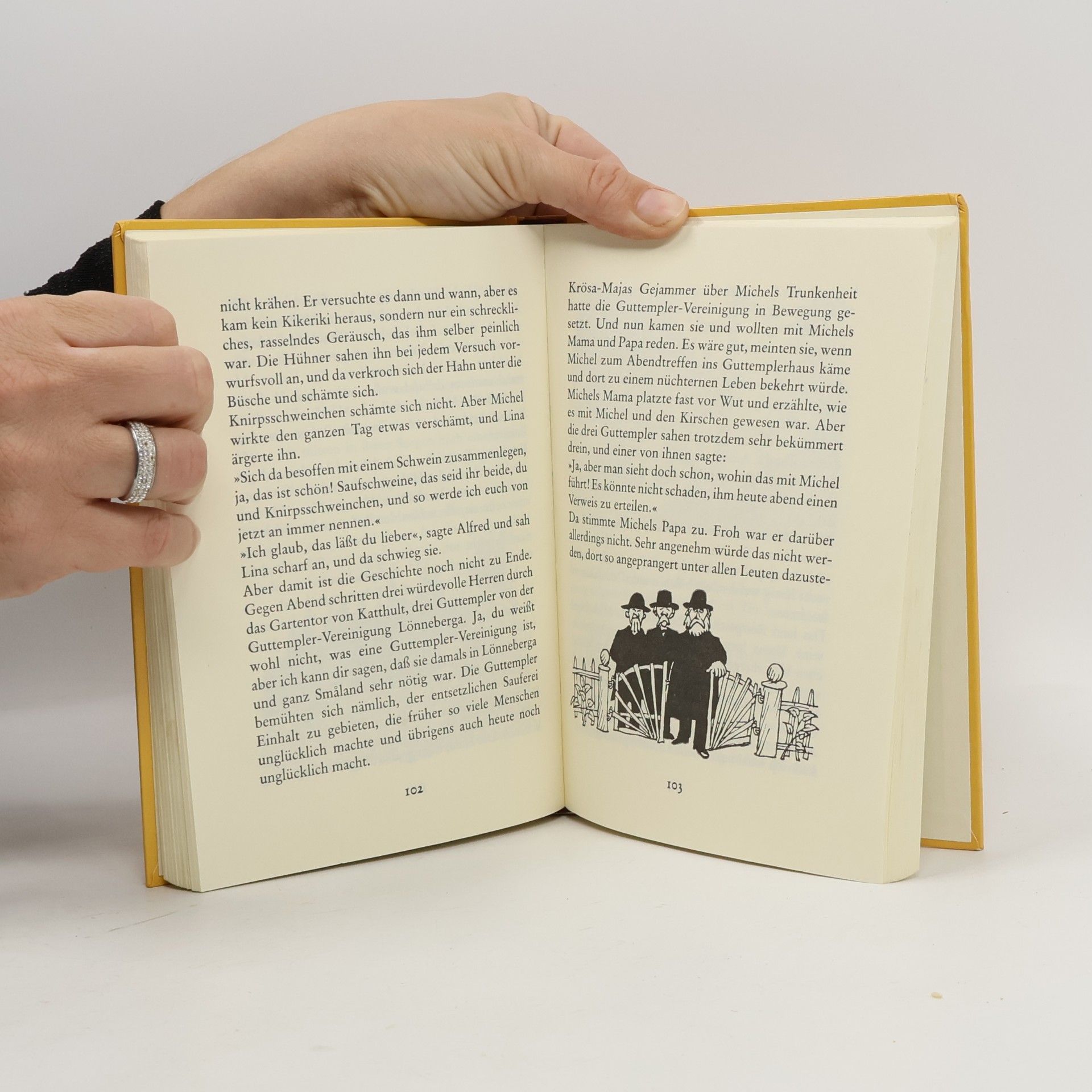 Astrid Lindgren Michel bringt die Welt in Ordnung