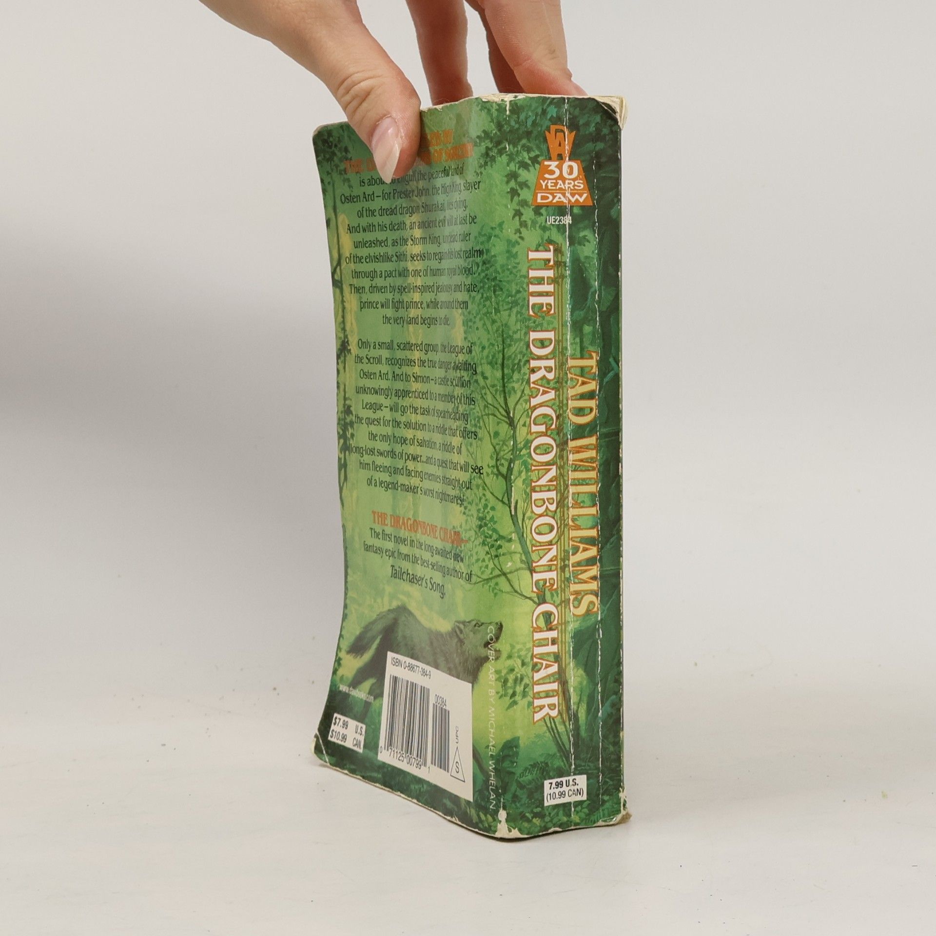Tad Williams Memory, Sorrow and Thorn 1. The Dragonbone Chair