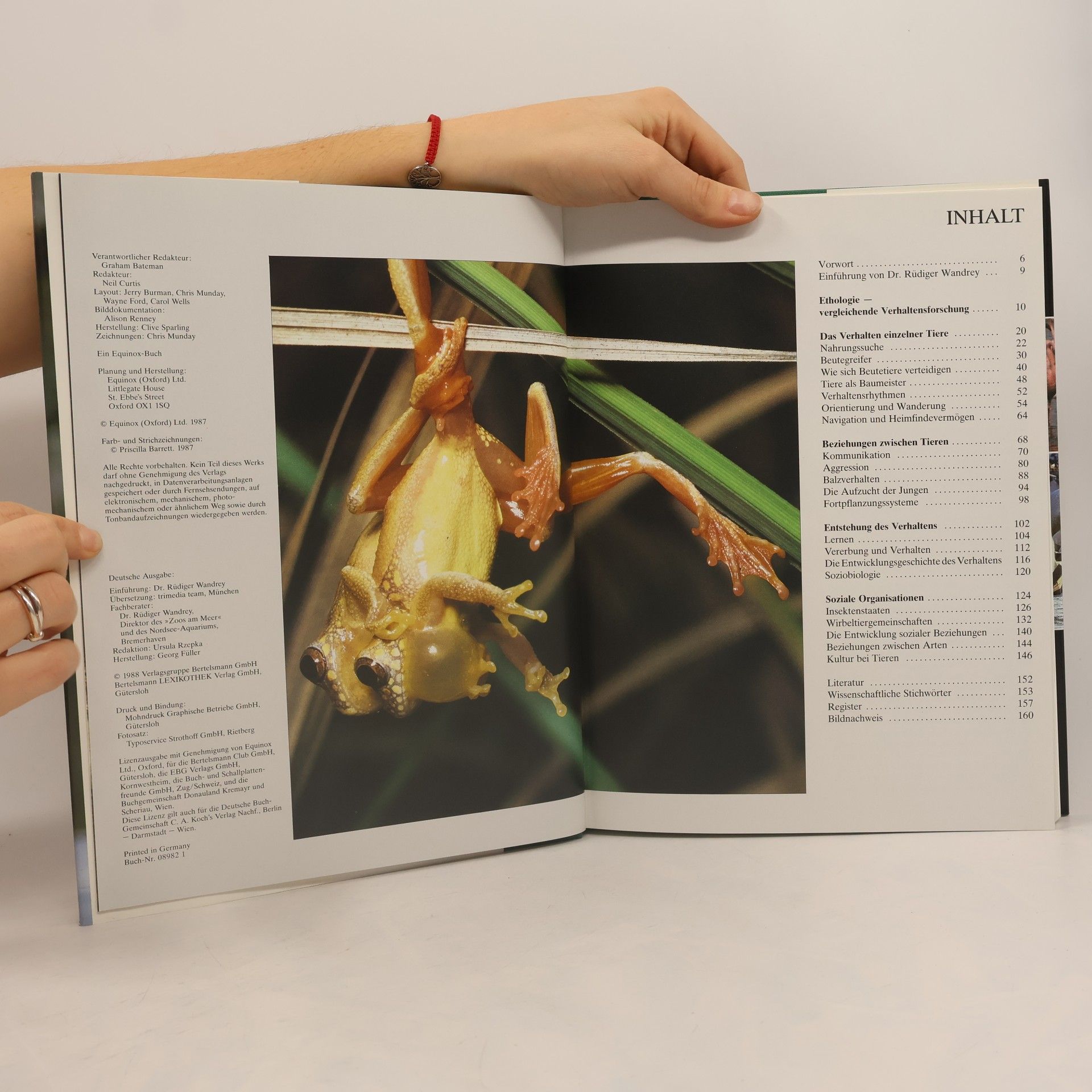 Chris Munday Die Tiere unserer Welt II.