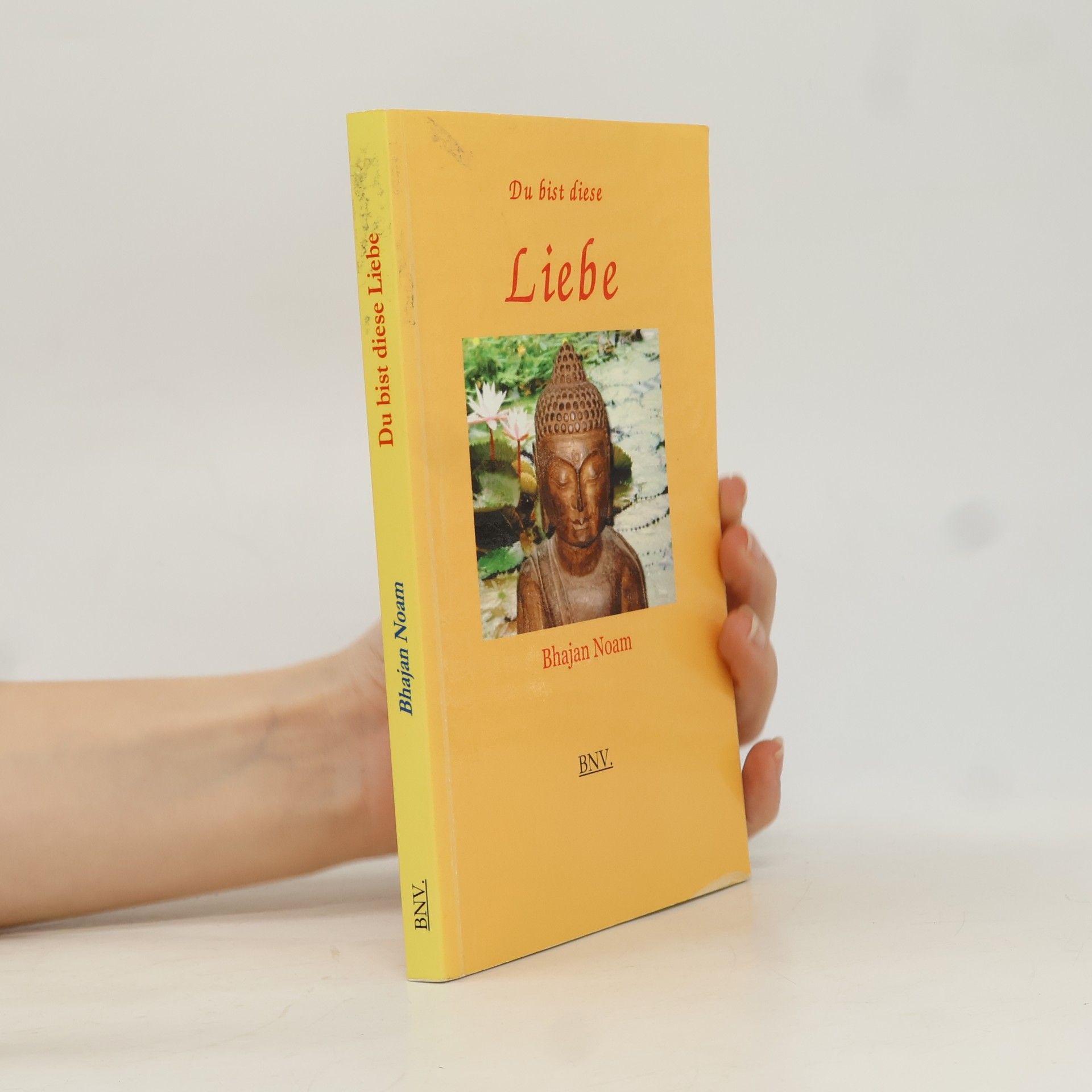 Du bist diese Liebe