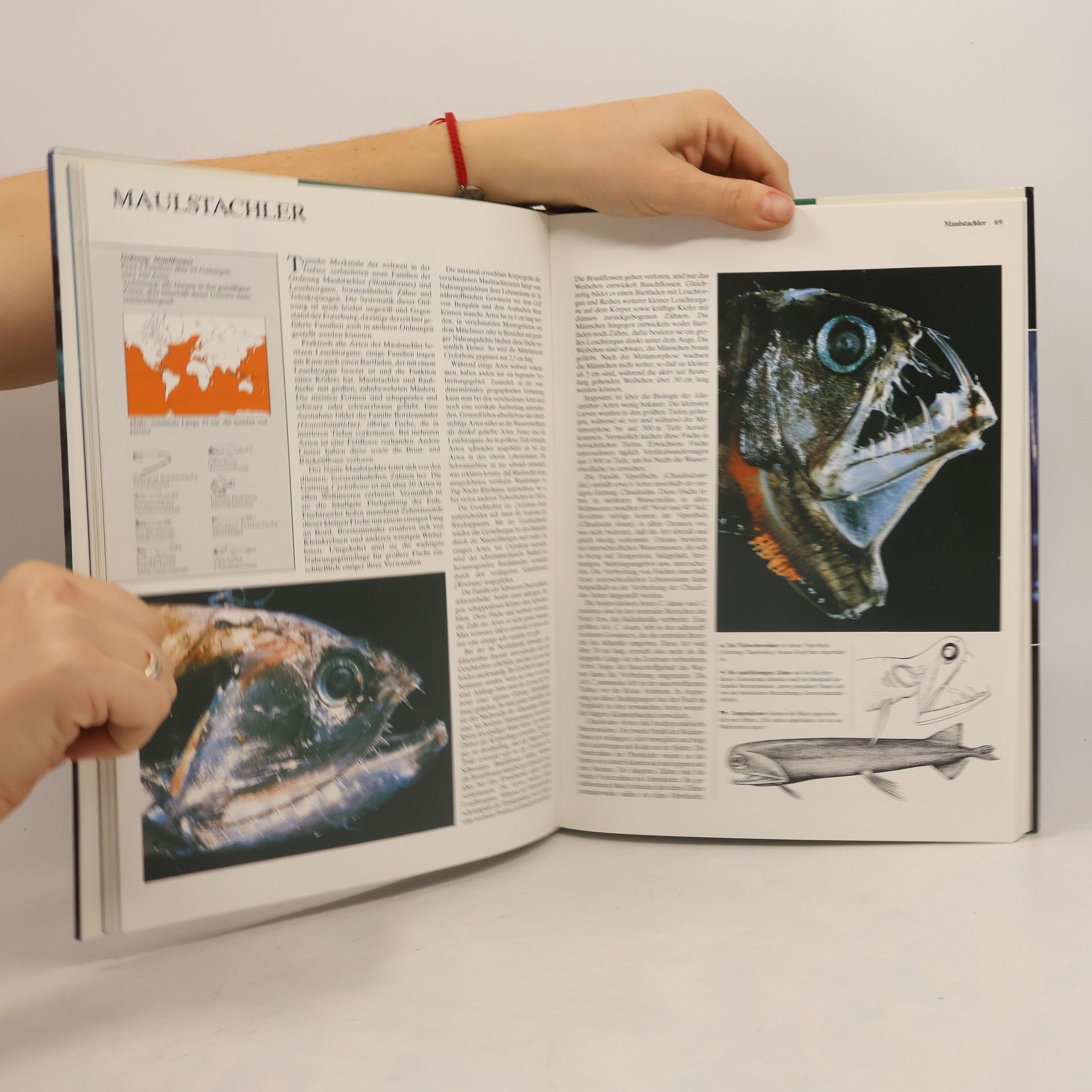 Kolektiv autorů Die Tiere unserer Welt Band 9. Fische