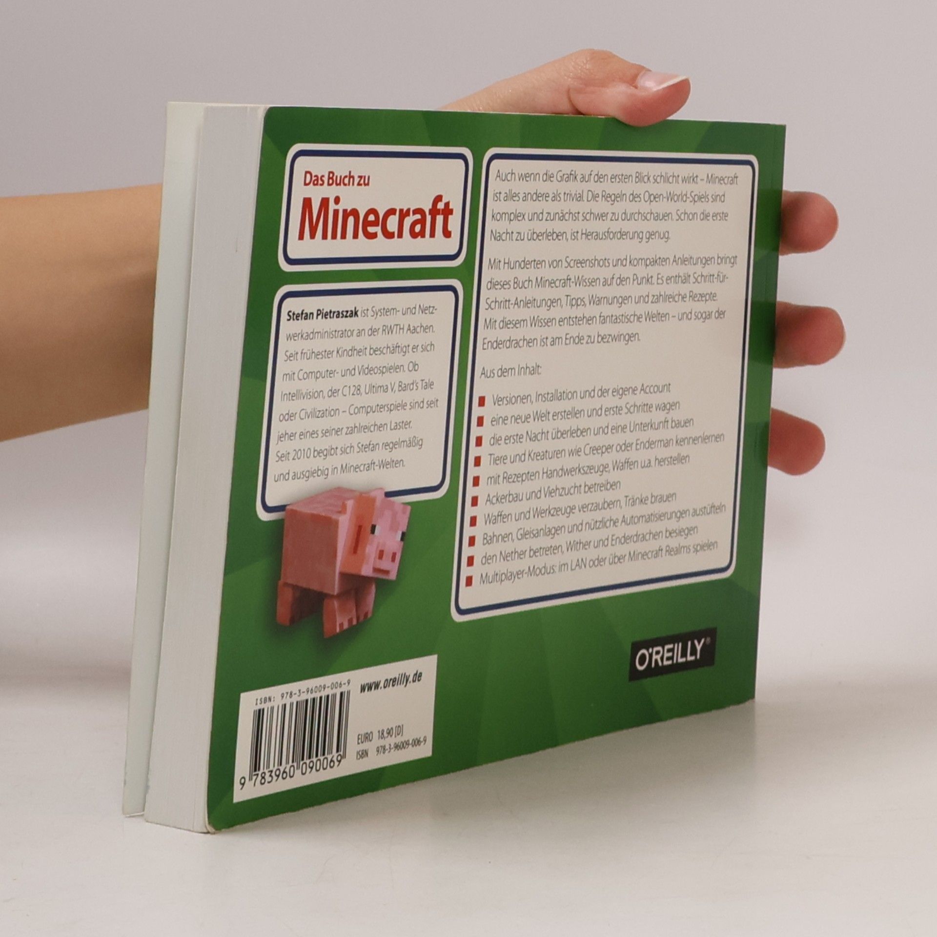 Stefan Pietraszak Das Buch zu Minecraft