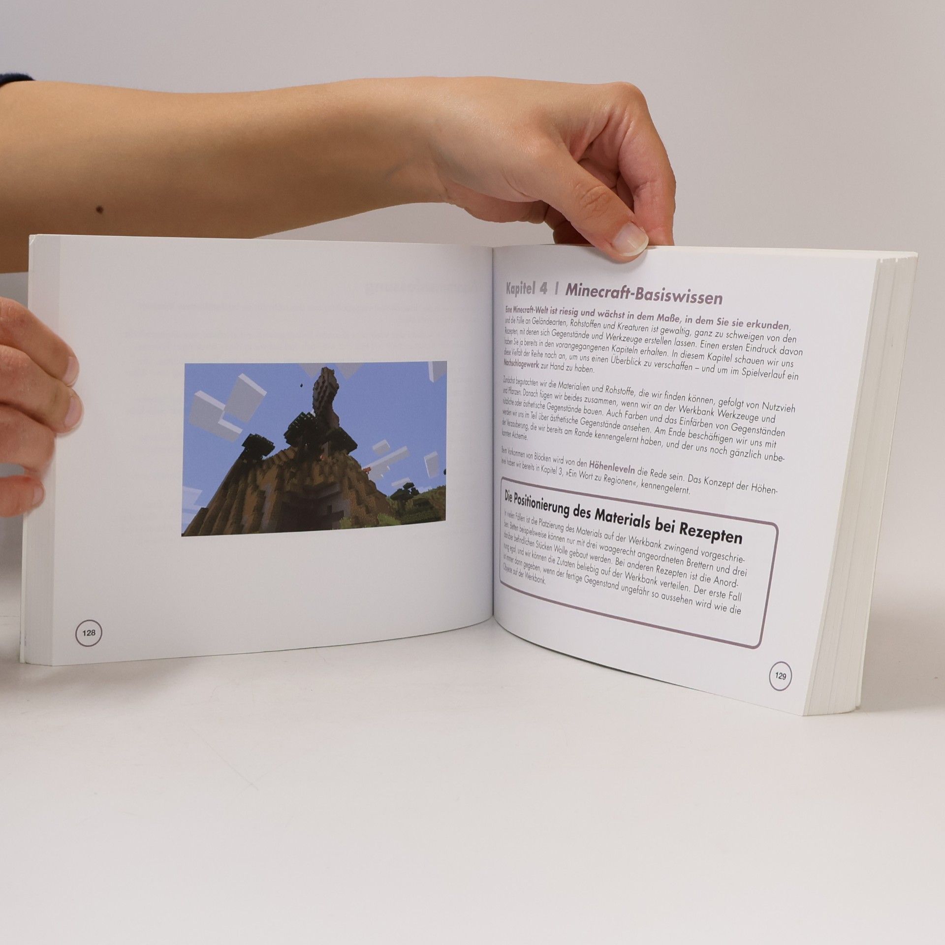 Stefan Pietraszak Das Buch zu Minecraft