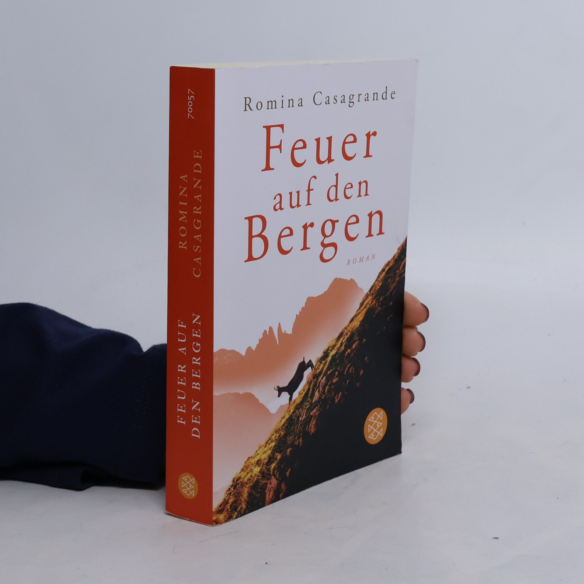 Feuer auf den Bergen