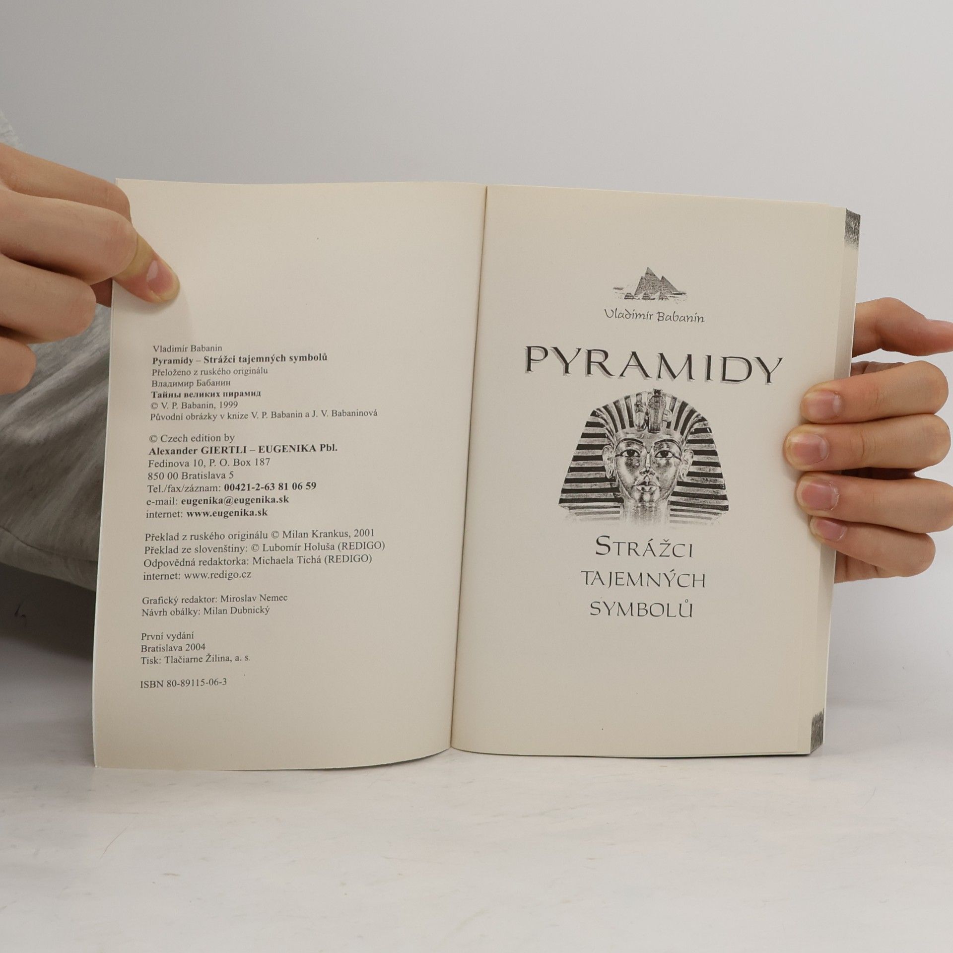 Vladimir Petrovič Babanin Pyramidy. Strážci tajemných symbolů