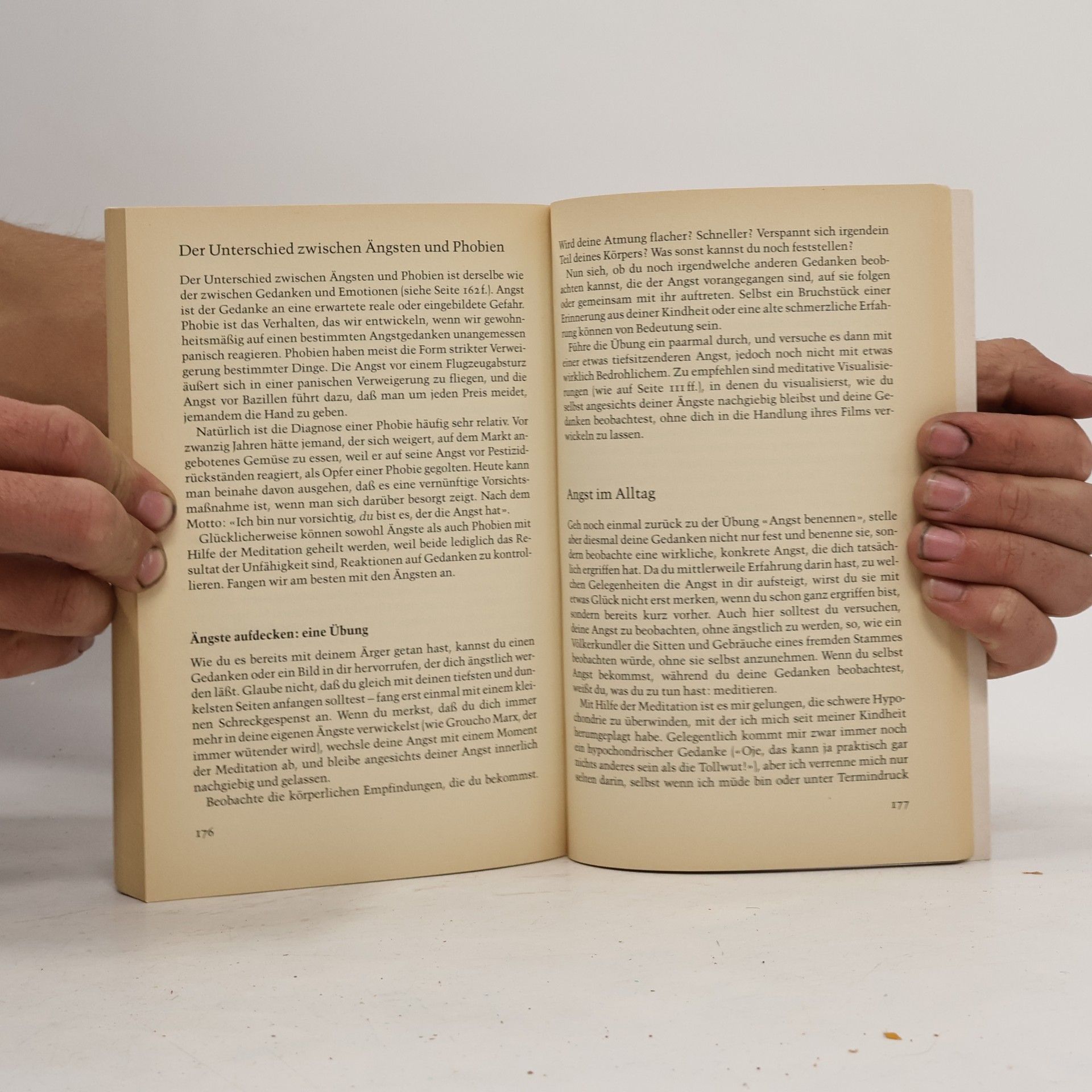 David Harp Meditieren in drei Minuten