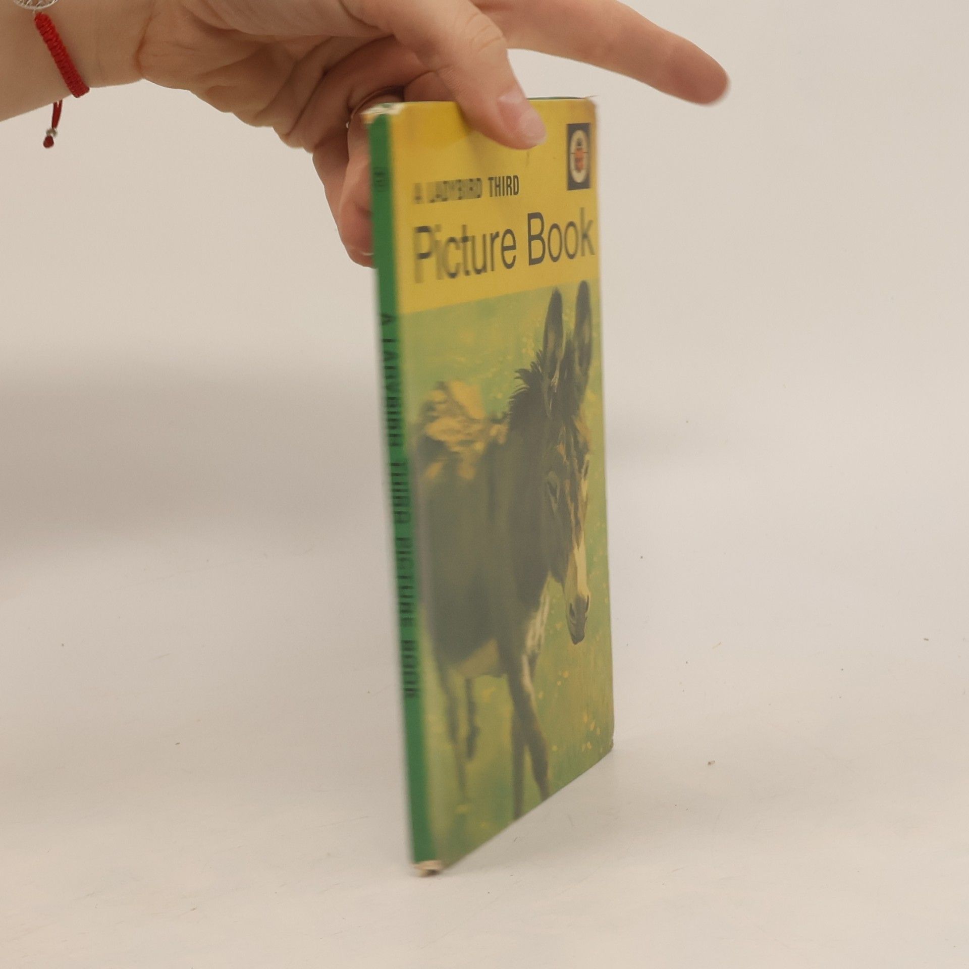Ethel Wingfield Ladybird - 3: Picture Book