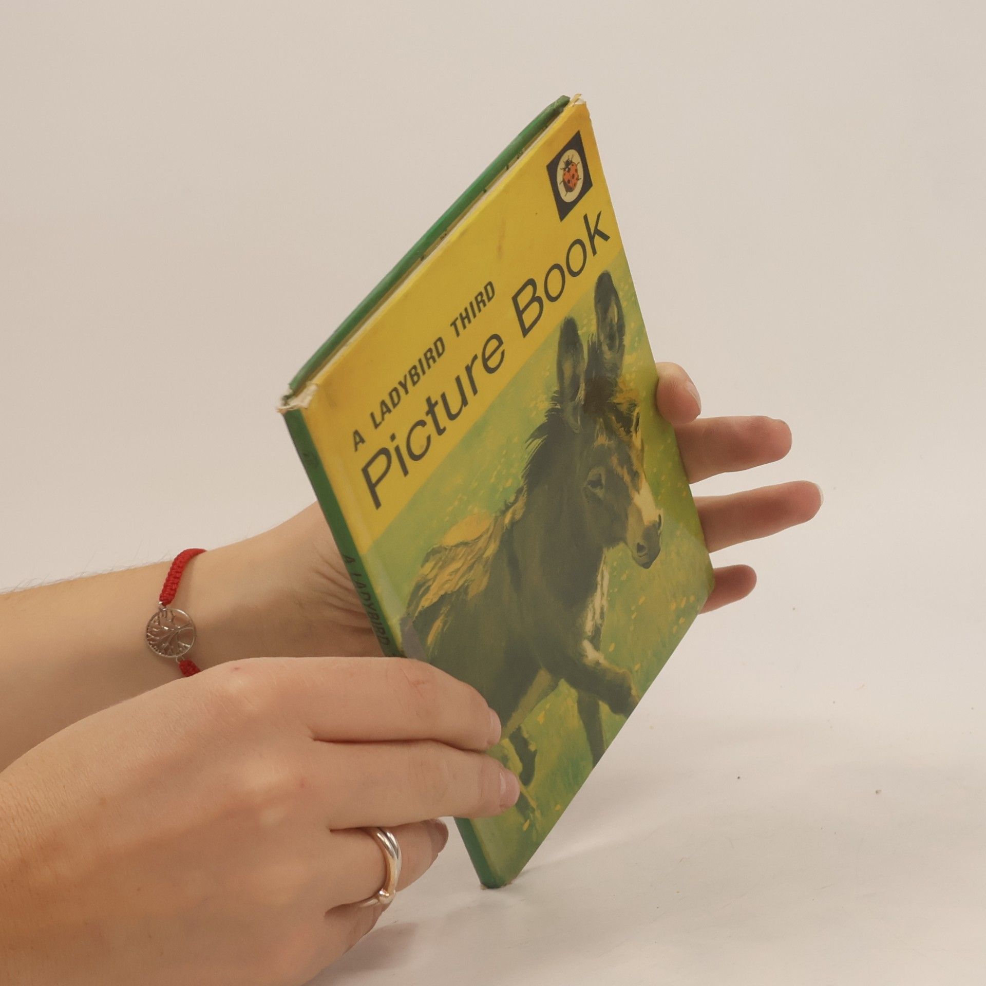 Ethel Wingfield Ladybird - 3: Picture Book