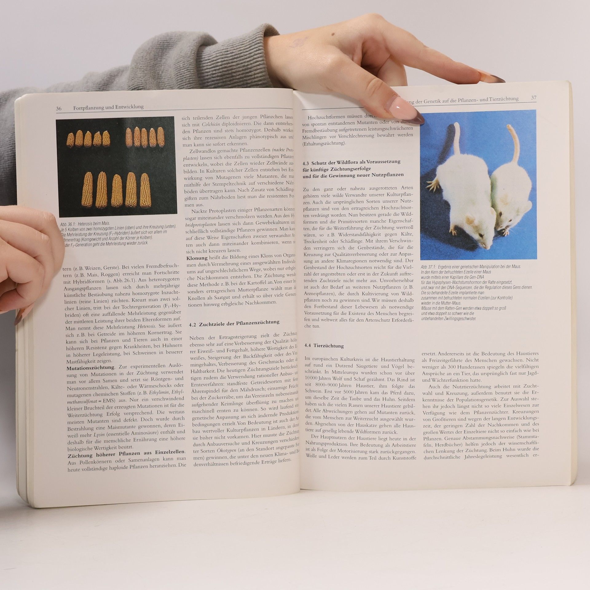 Autorenkollektiv Linder Biologie 2