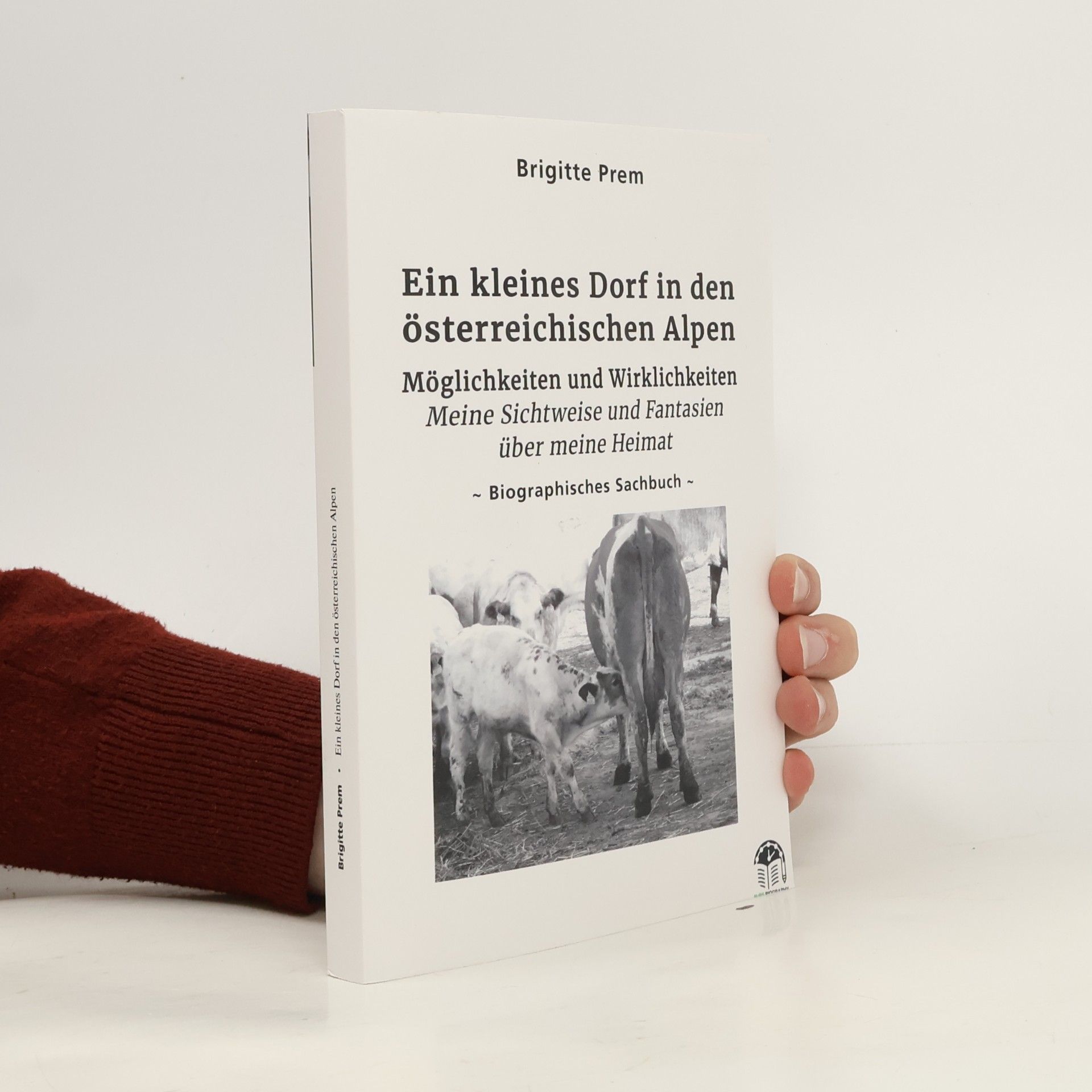 Brigitte Prem Ein kleines Dorf in den österreichischen Alpen