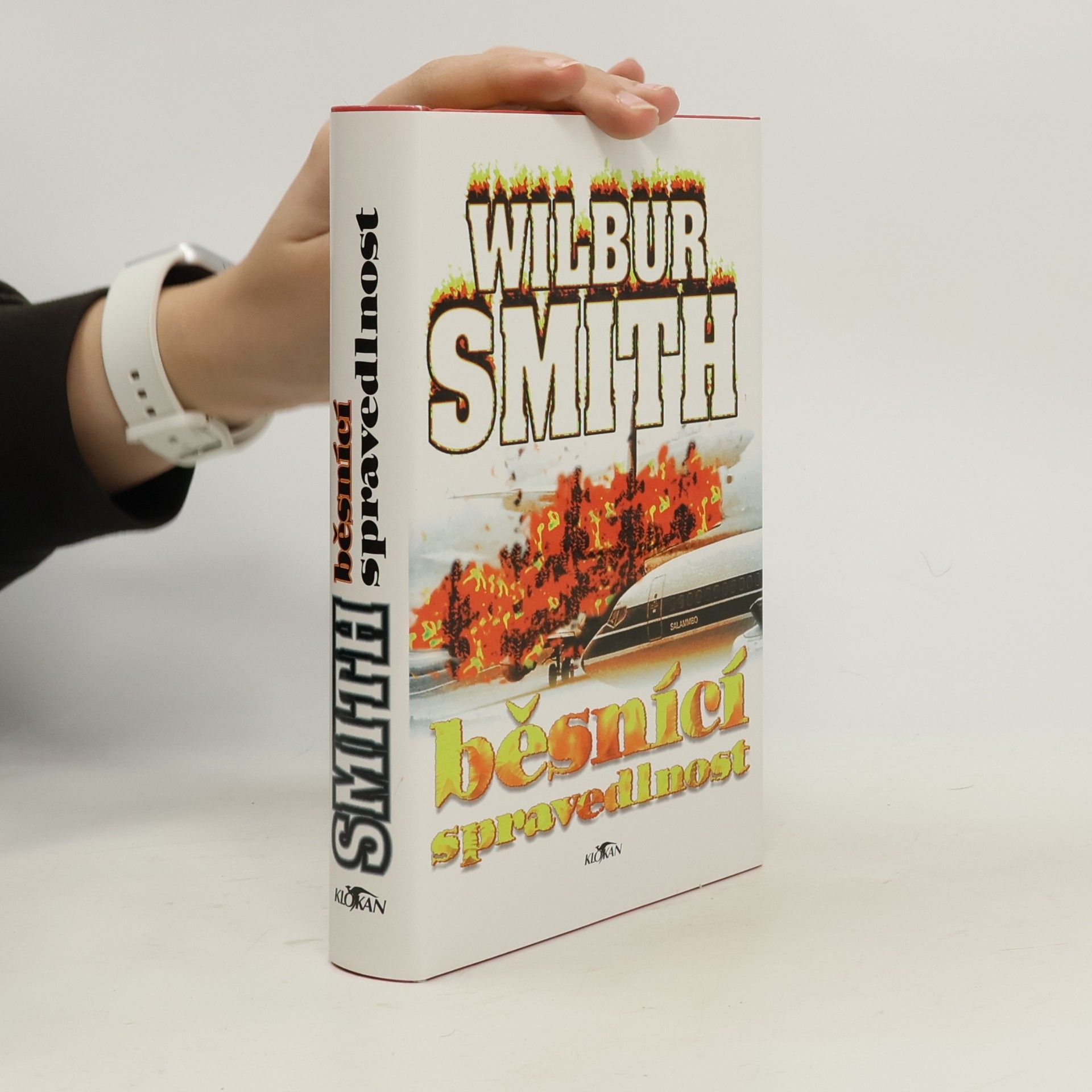 Wilbur A. Smith Běsnící spravedlnost