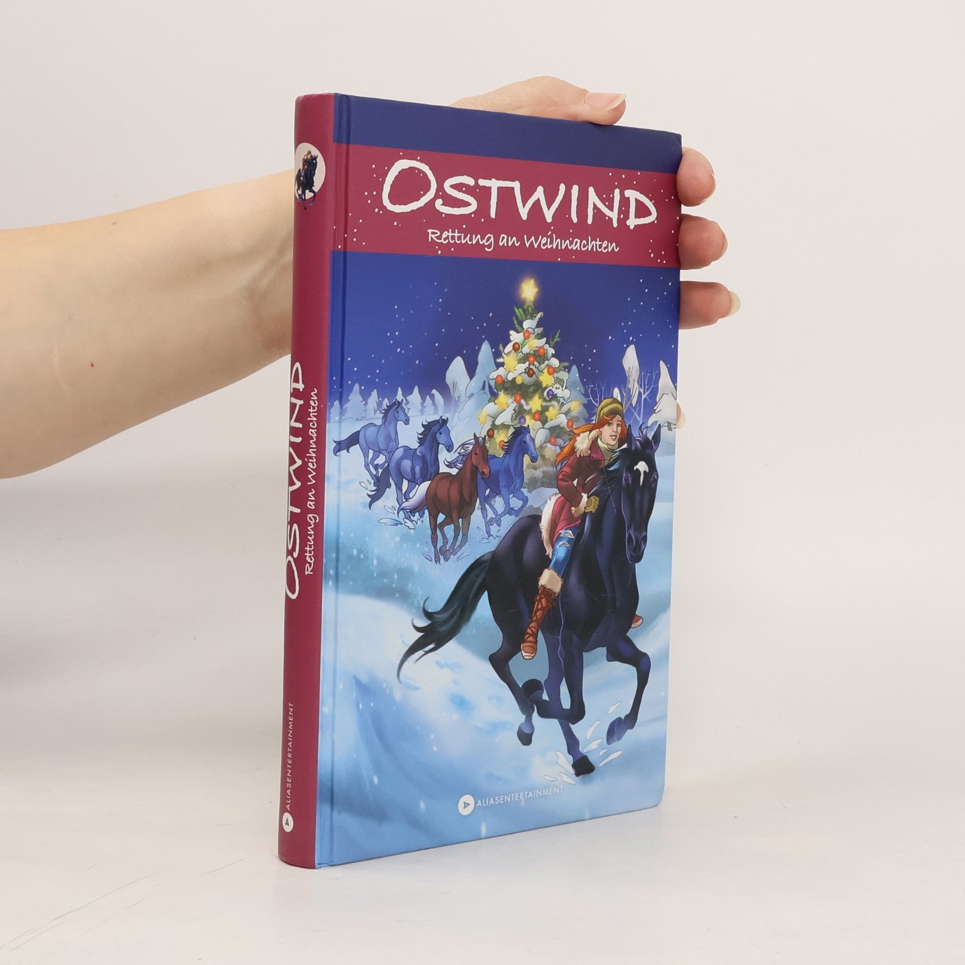 Ostwind - Rettung an Weihnachten
