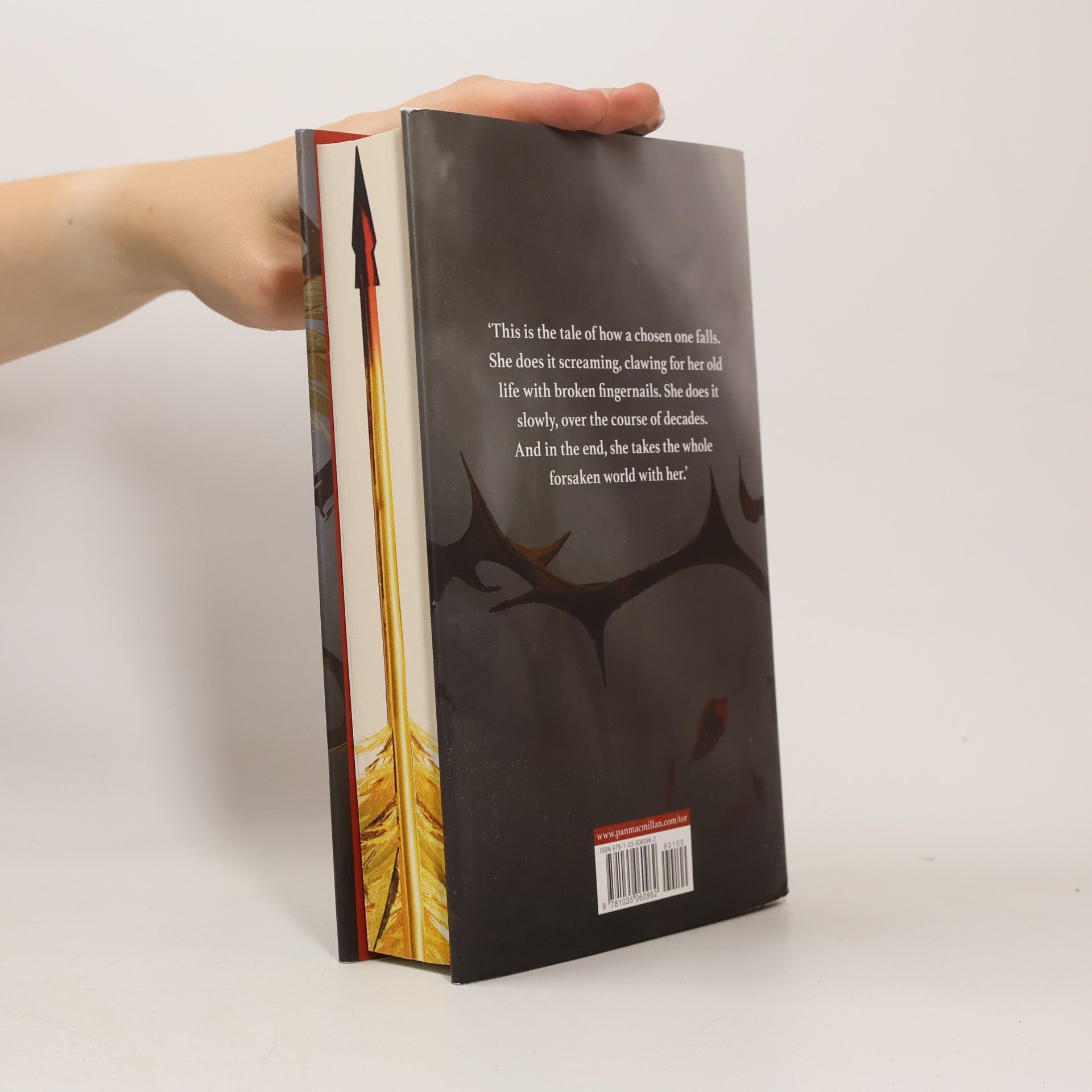 Carissa Broadbent The Songbird and the Heart of Stone
