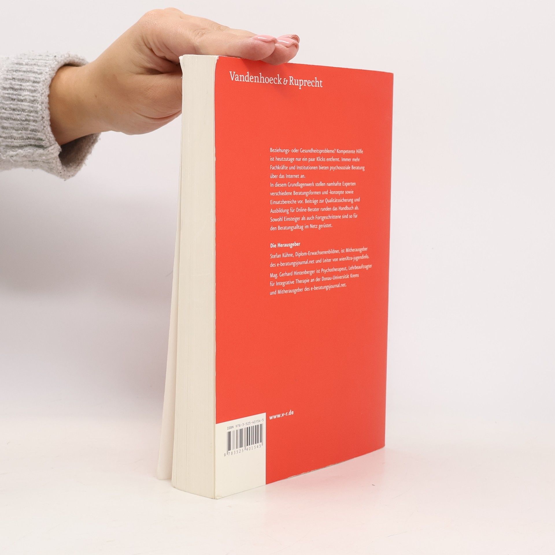 Stefan Kühne Handbuch Online-Beratung
