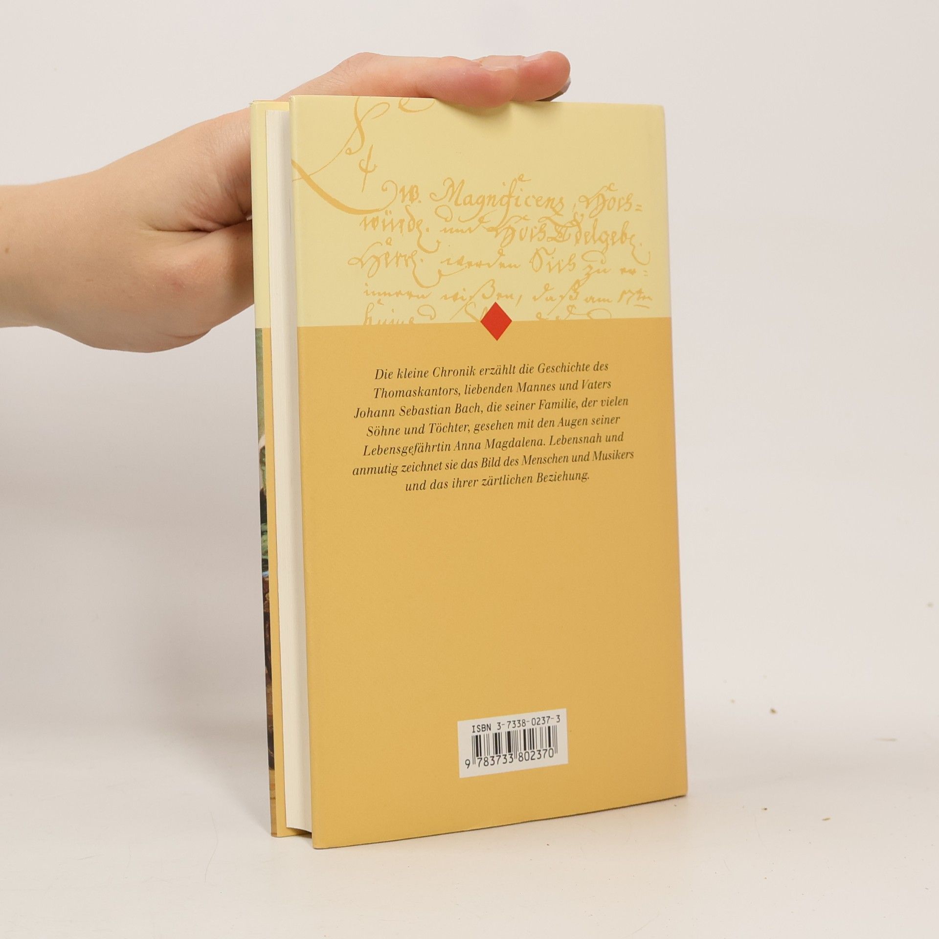Esther Meynell Die kleine Chronik der Anna Magdalena Bach