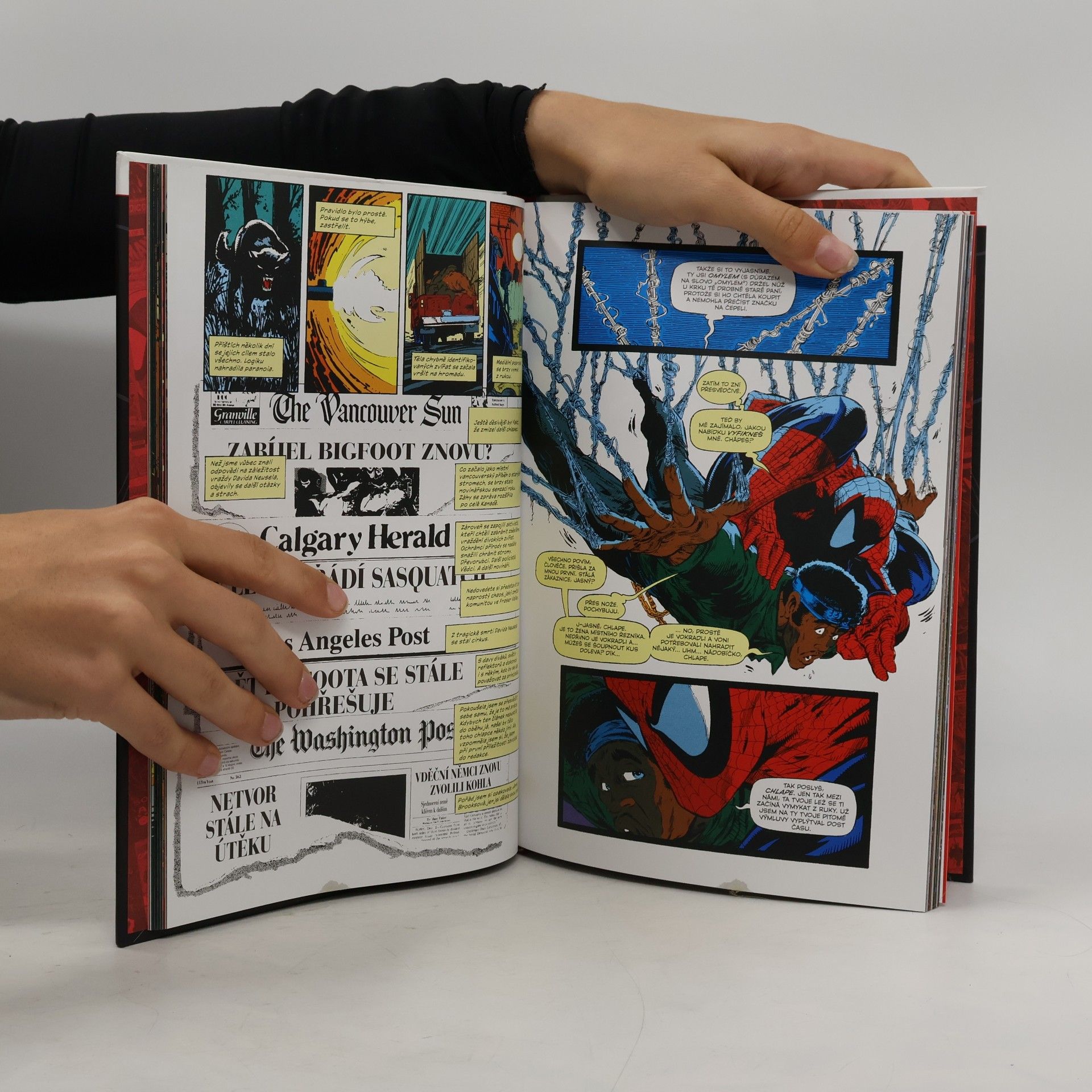 Todd McFarlane Spider-Man 1. Úhel pohledu