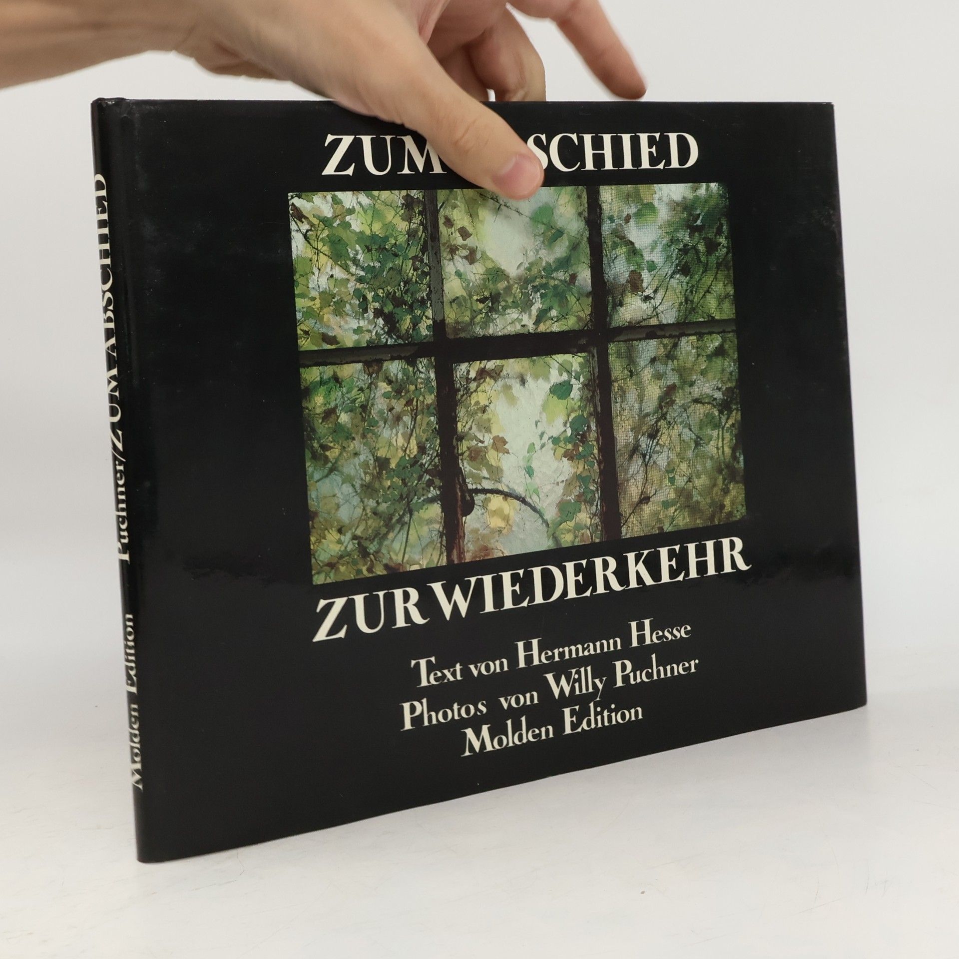 Hermann Hesse Stupně - výbor z veršů - hesse hermann