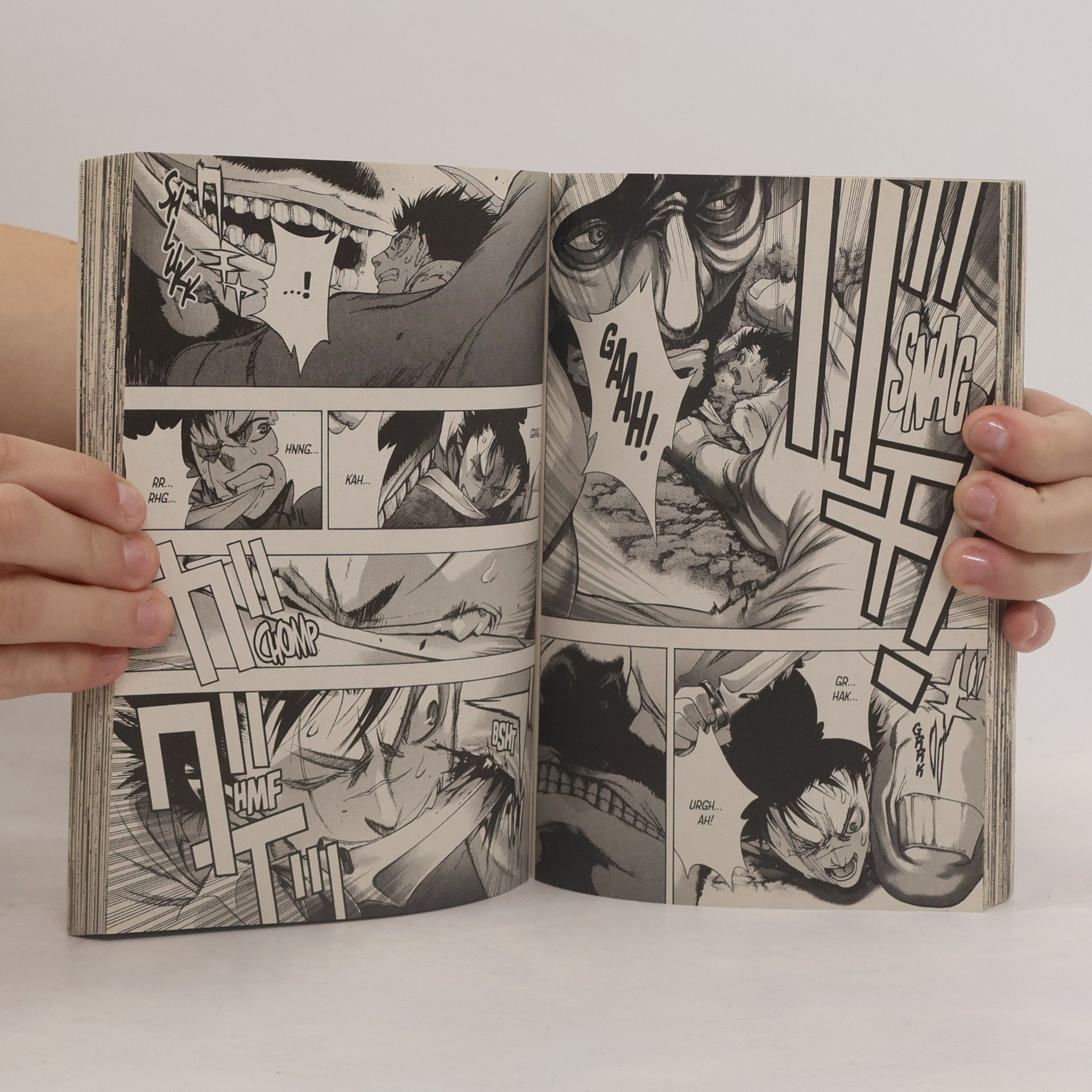 Satoshi Shiki Attack on Titan: Before the Fall
