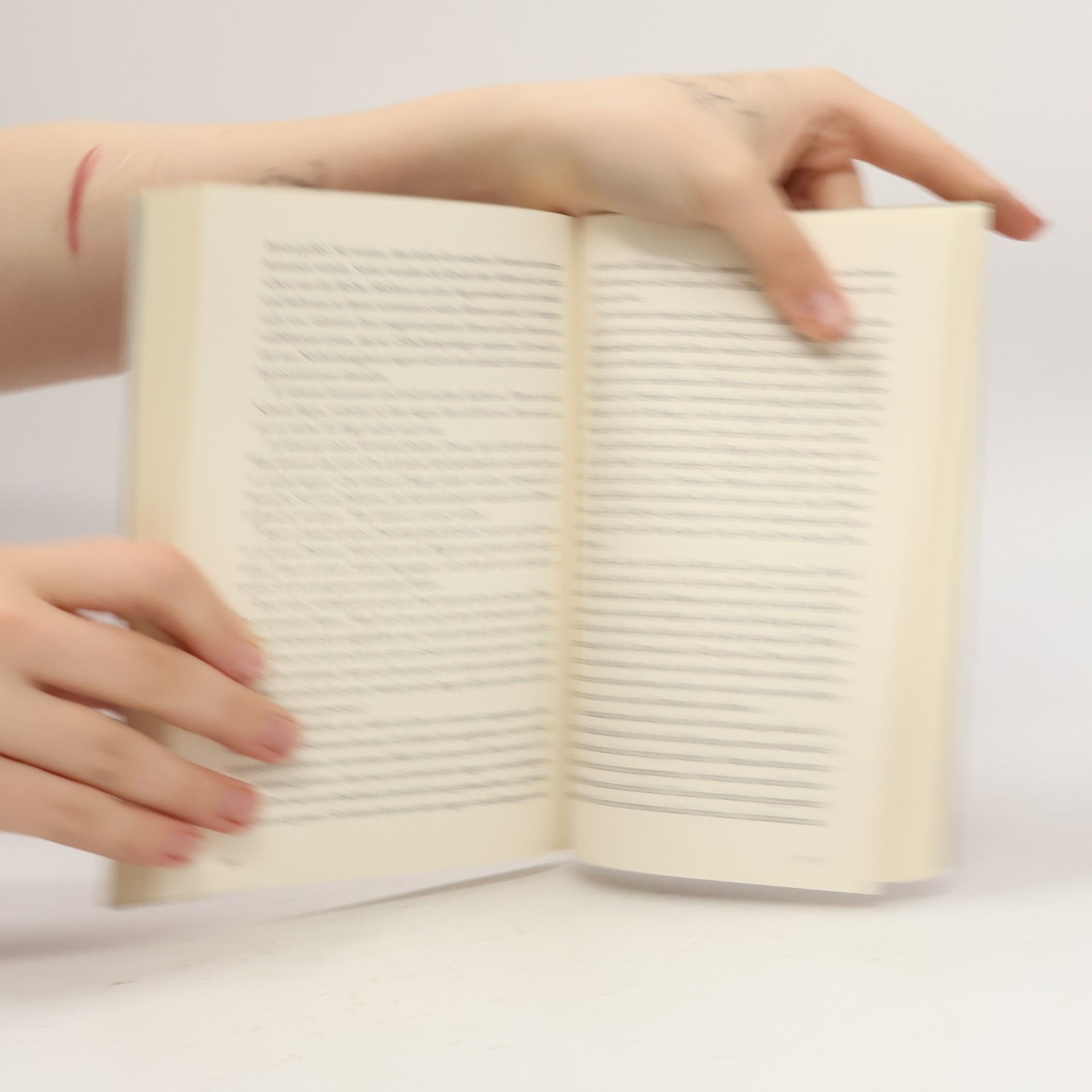 Hilary Mantel Der Hilfsprediger