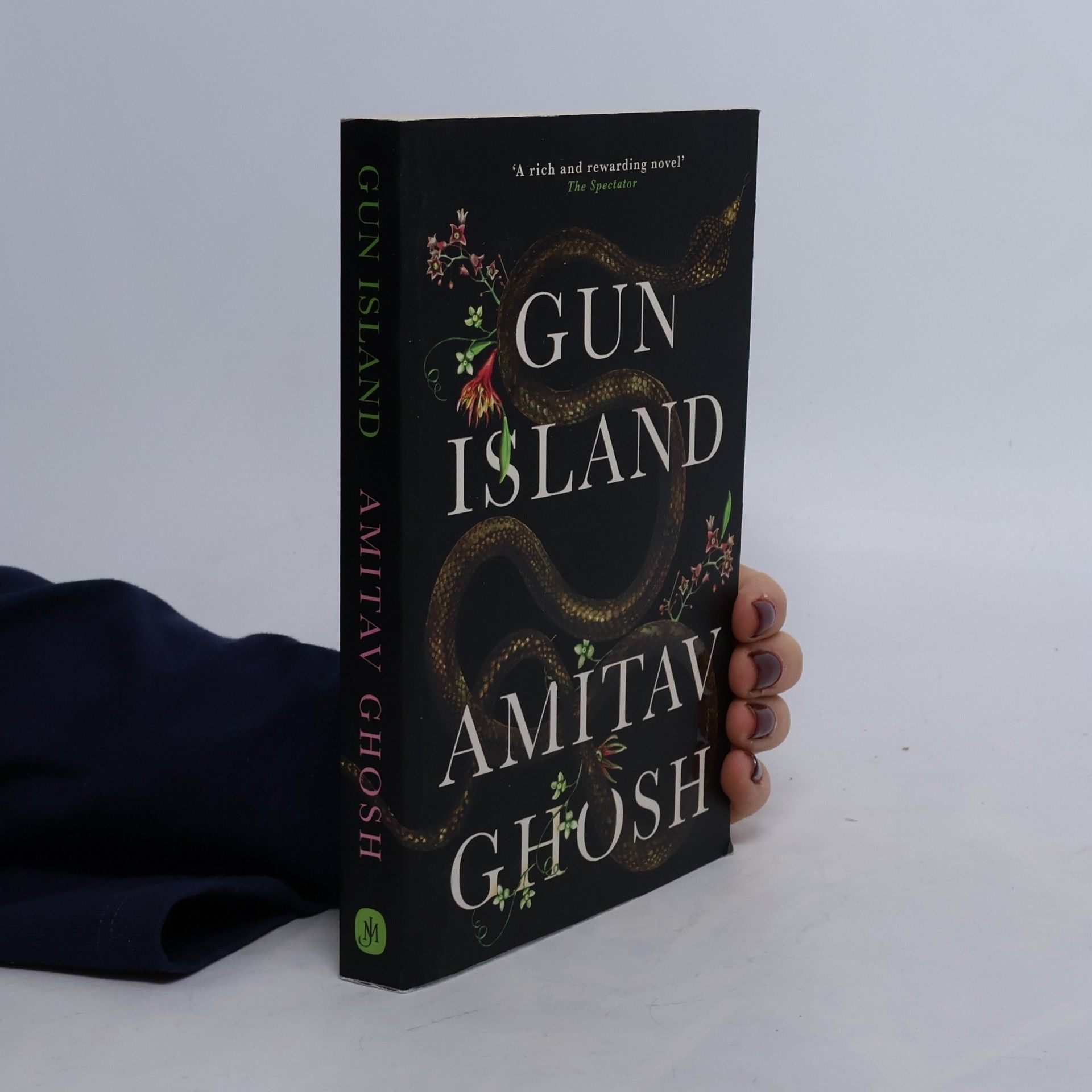 Gun Island