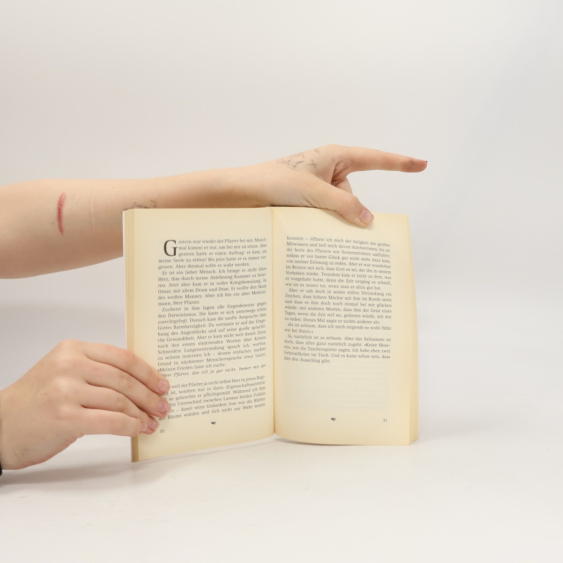 Johannes Anker Larsen Der Kandidat. Zwei Novellen