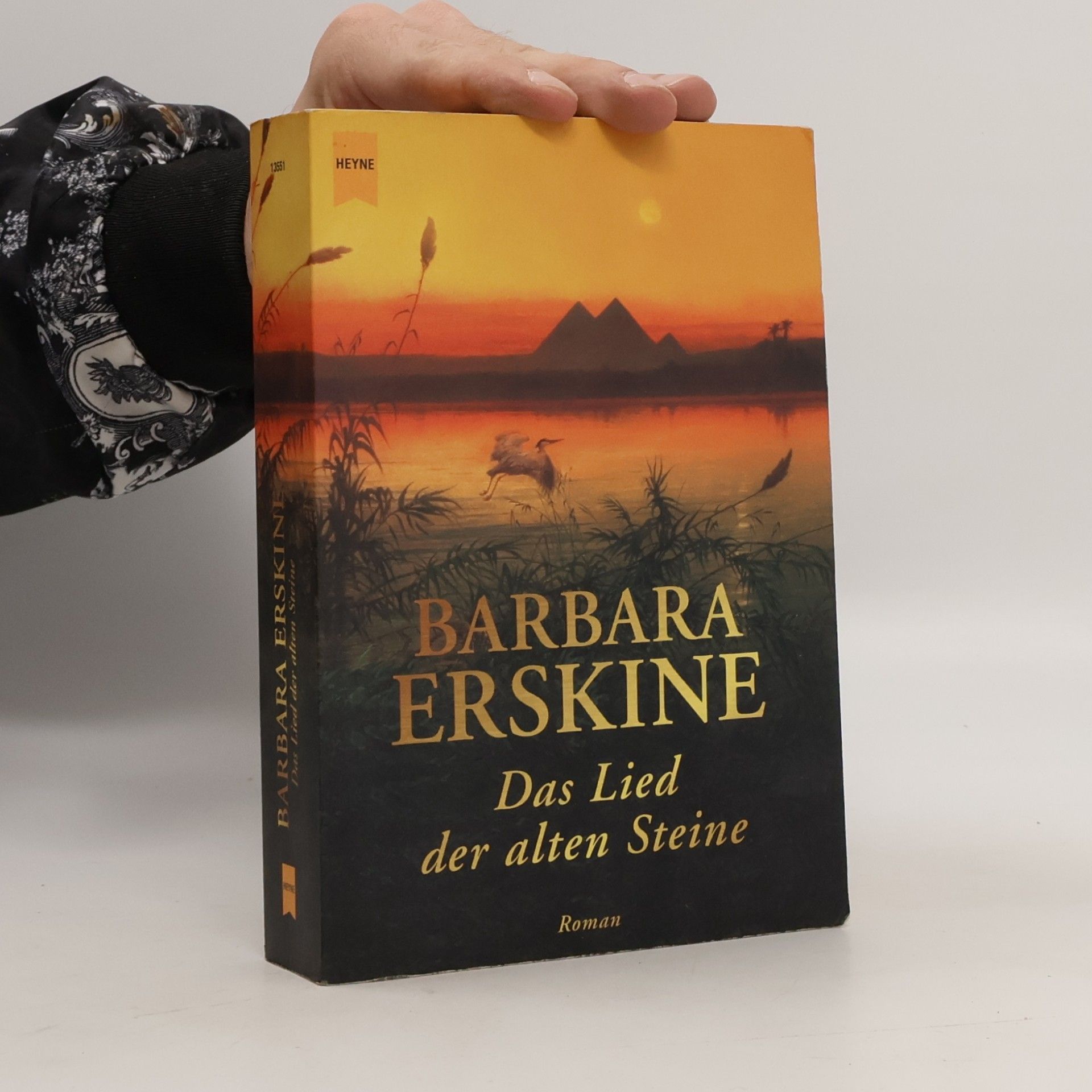 Das Lied der alten Steine