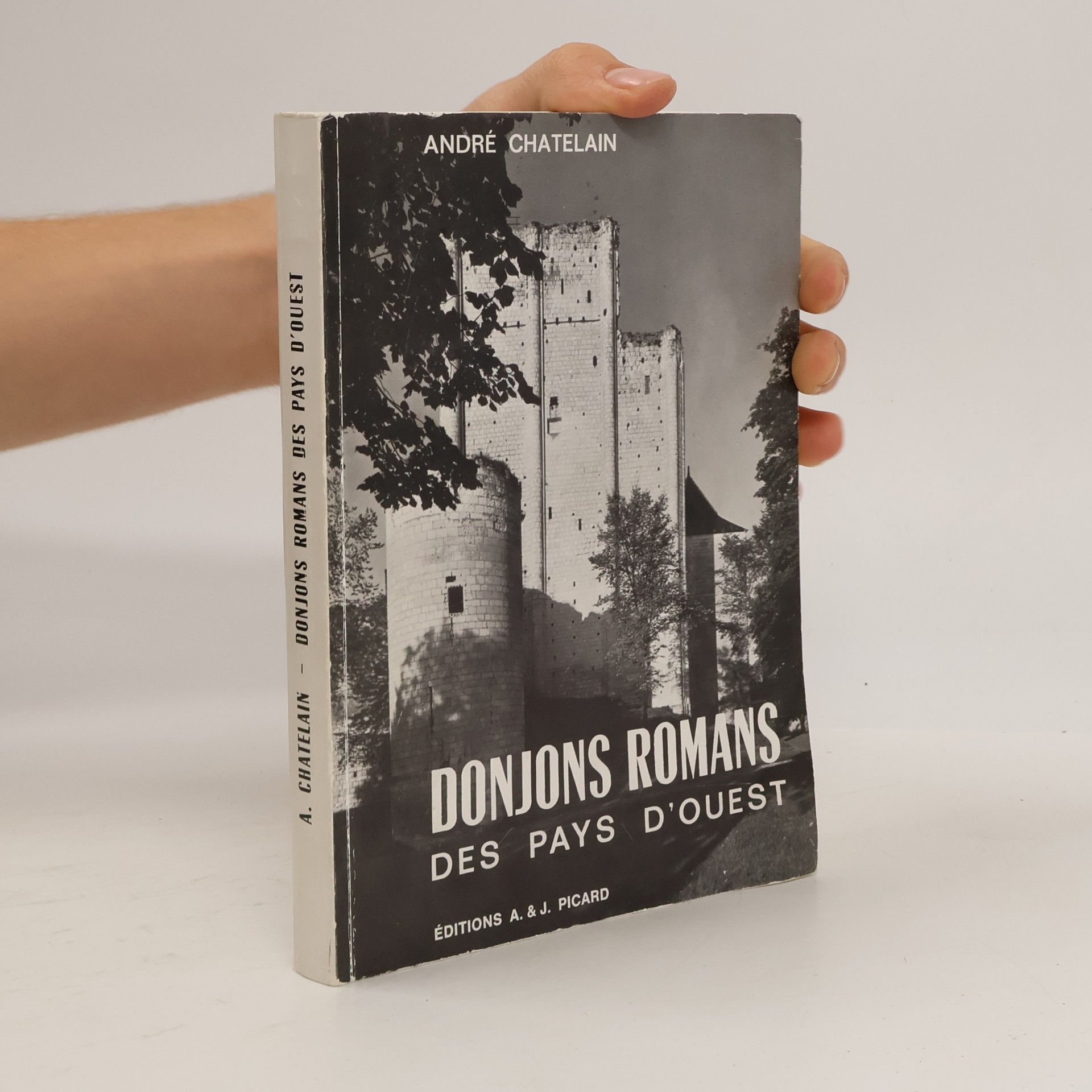 Donjons romans des pays d'Ouest