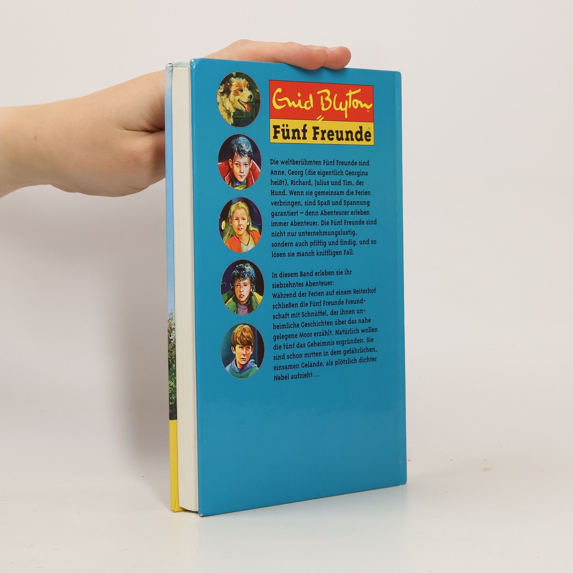 Enid Blyton Fünf Freunde im Nebel