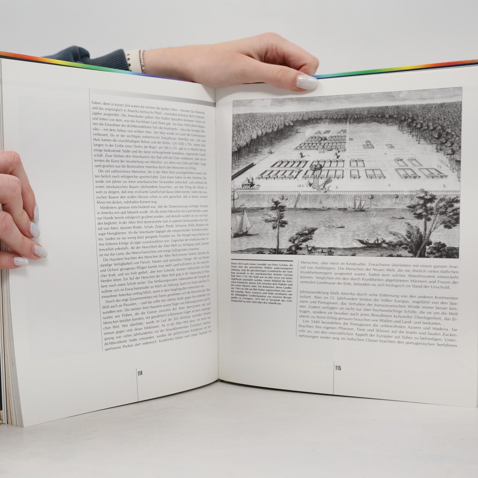 Collectif d'auteurs Meilensteine der Weltgeschichte. Mensch und Natur im Wandel