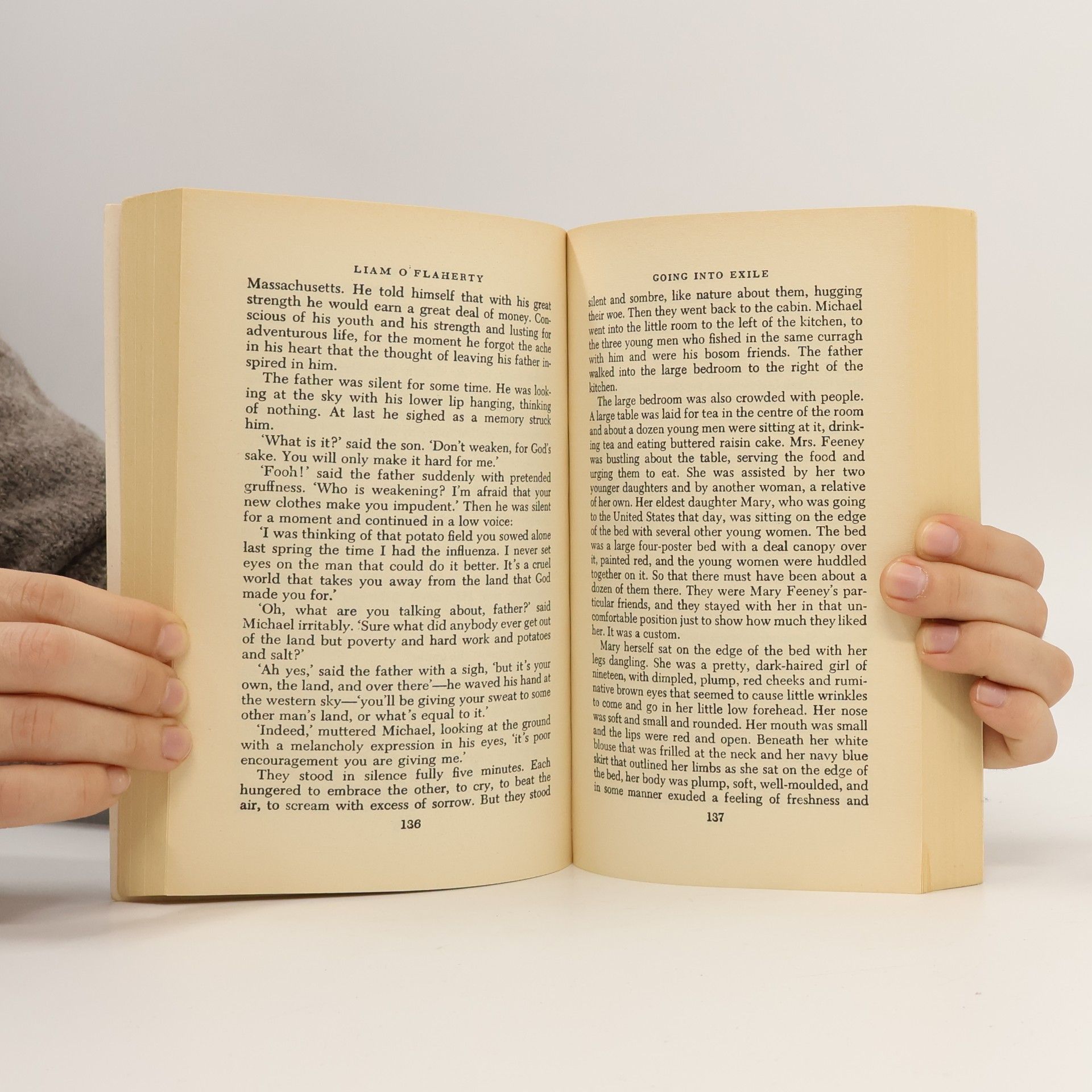 Frank O'Connor Classic Irish Short Stories